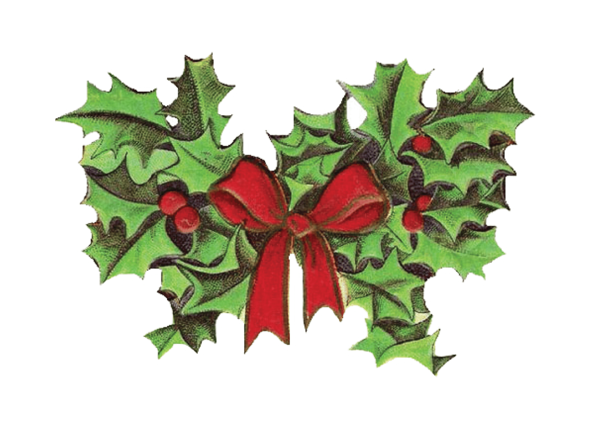 Christmas Holly