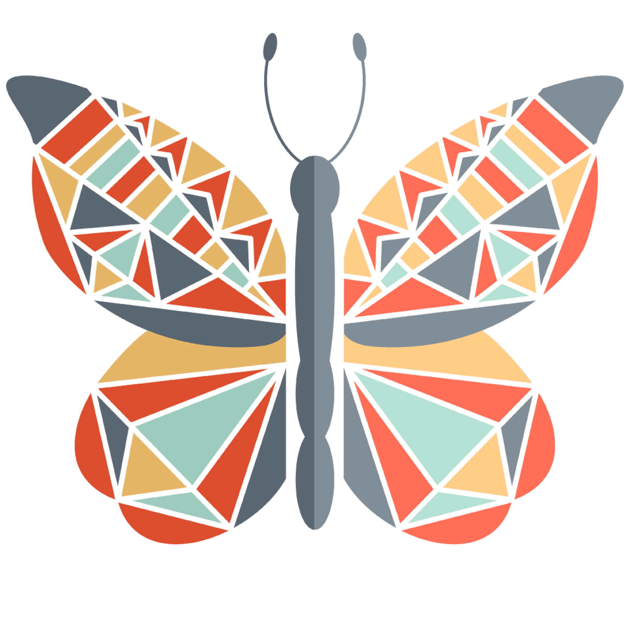 Colorful Geometric Butterfly