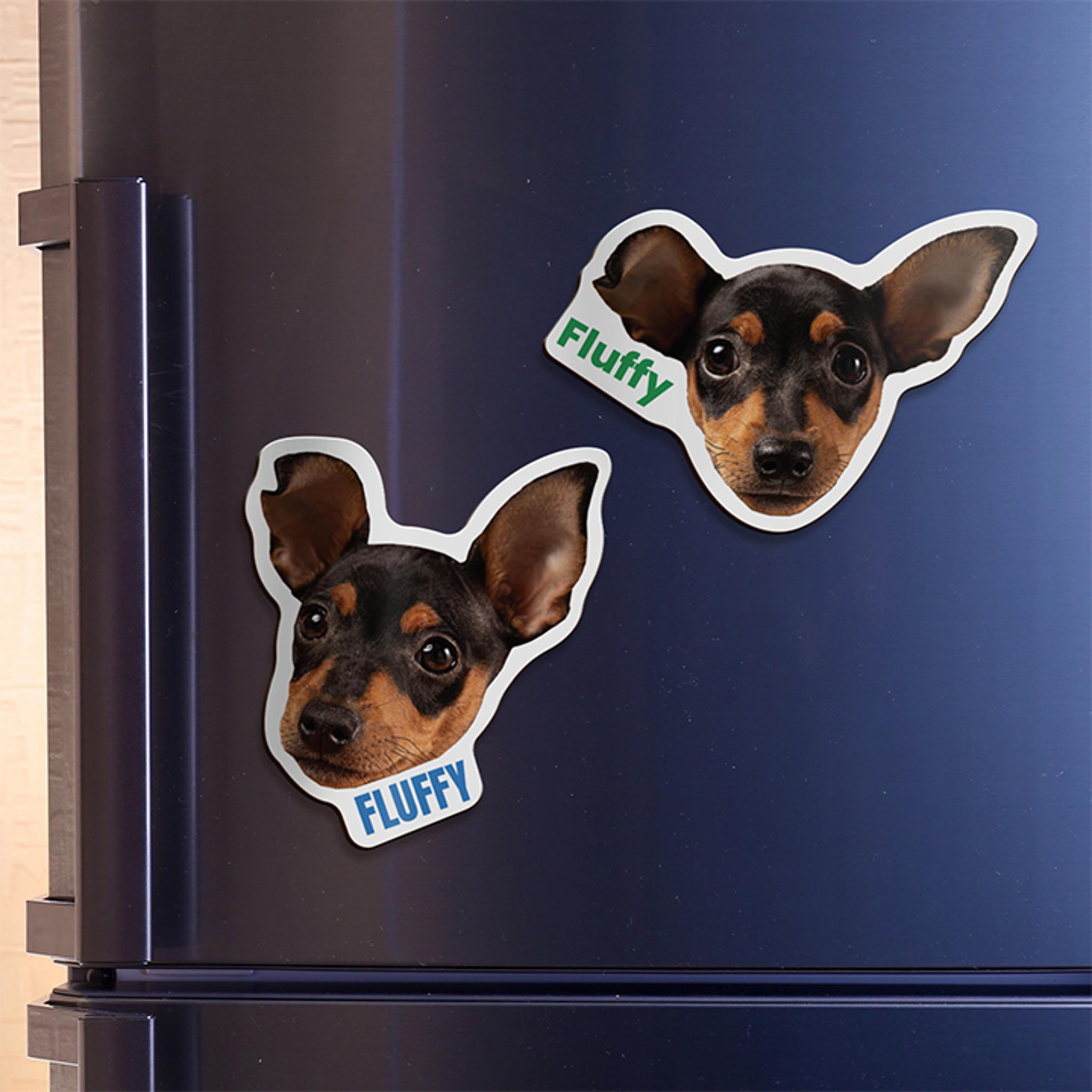 Custom Photo Magnets