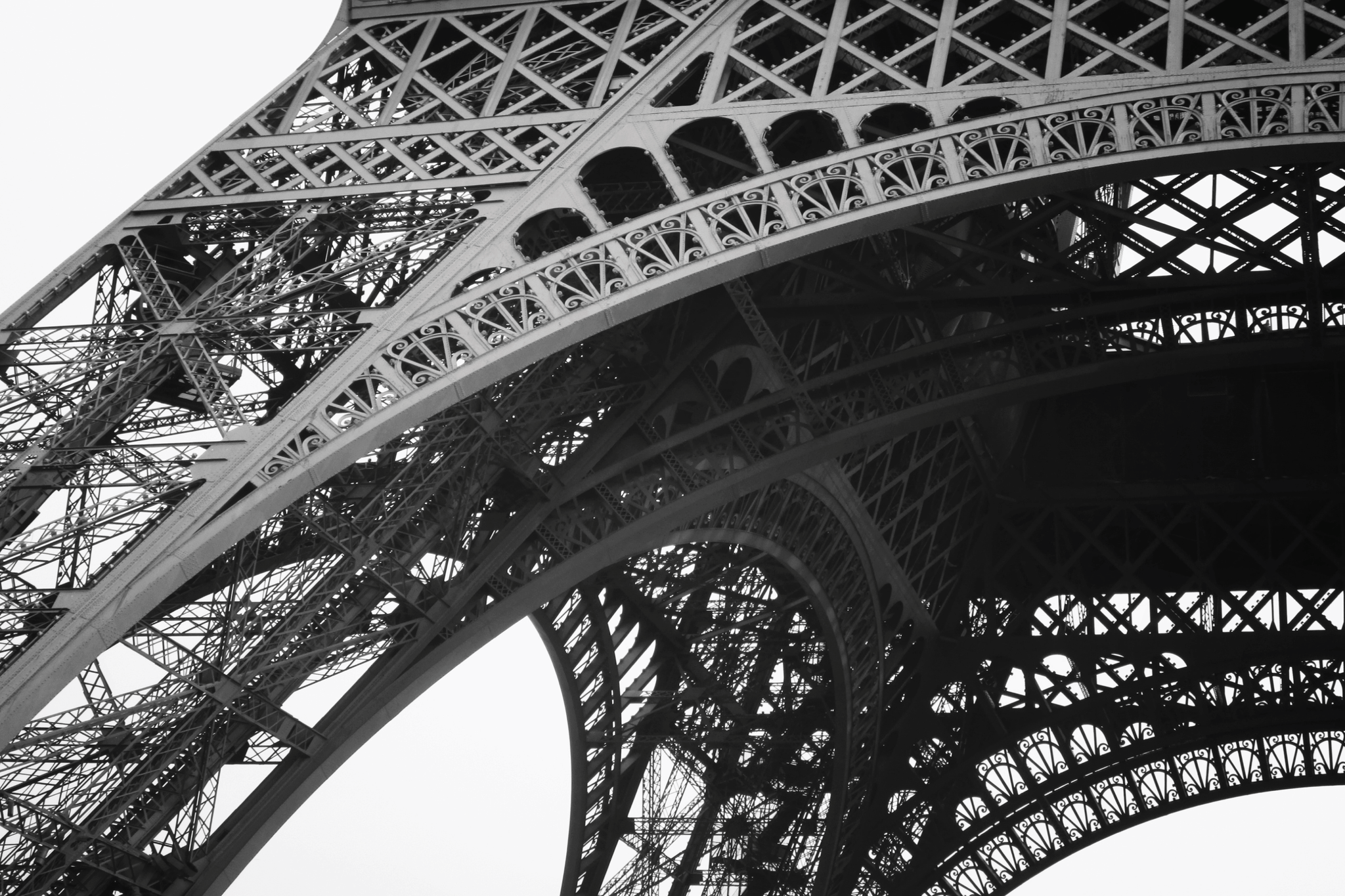 Eiffel Tower Photo