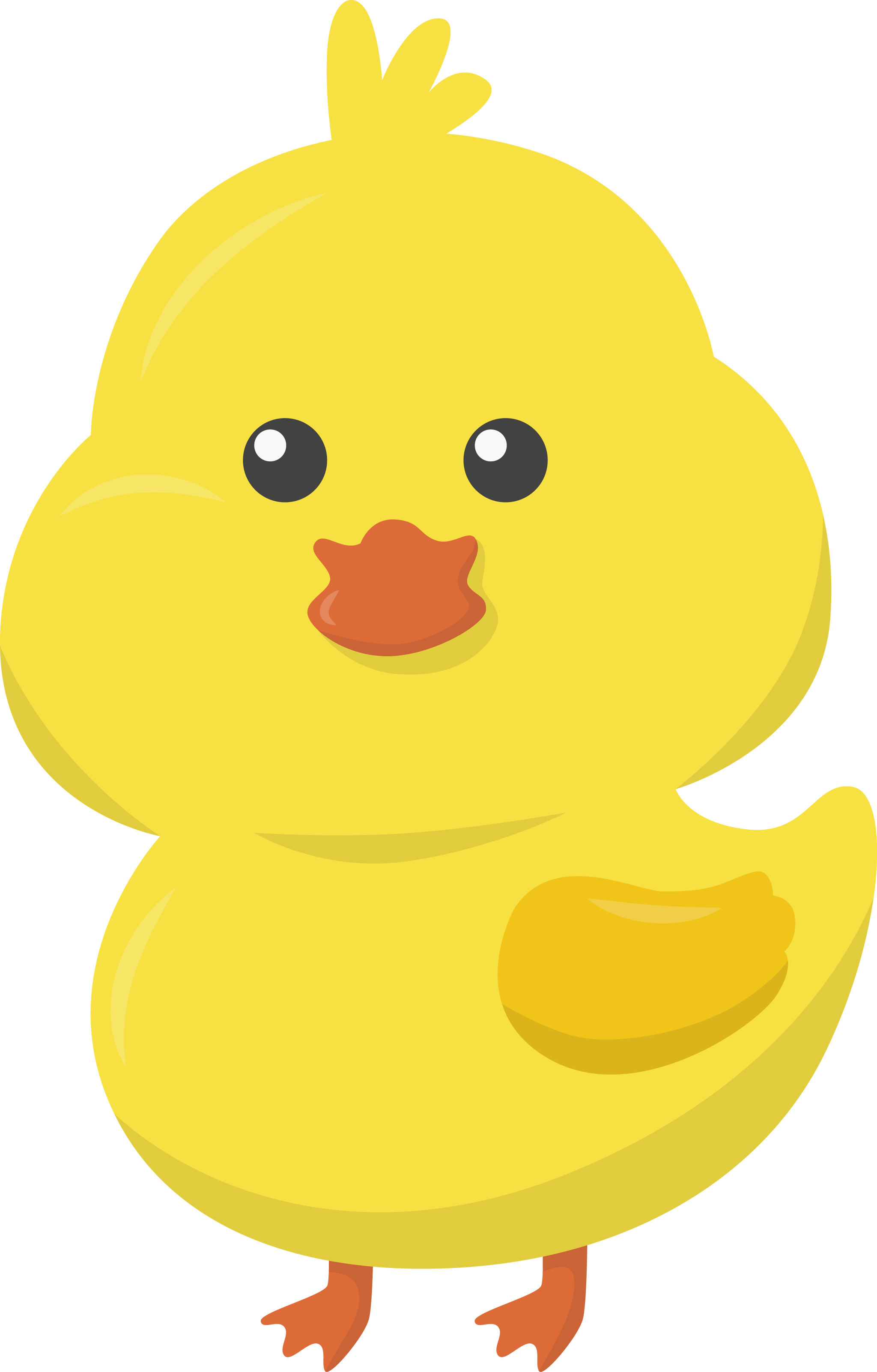 Cute Chicken