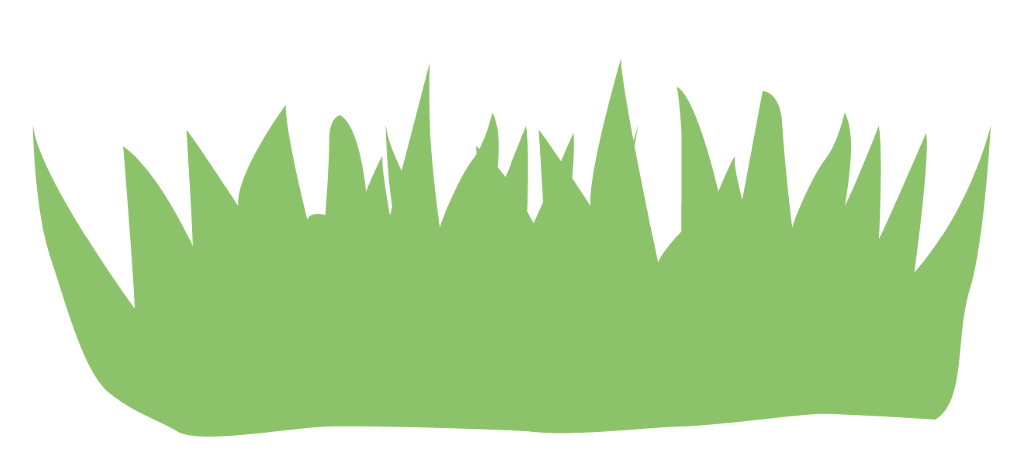 Grass
