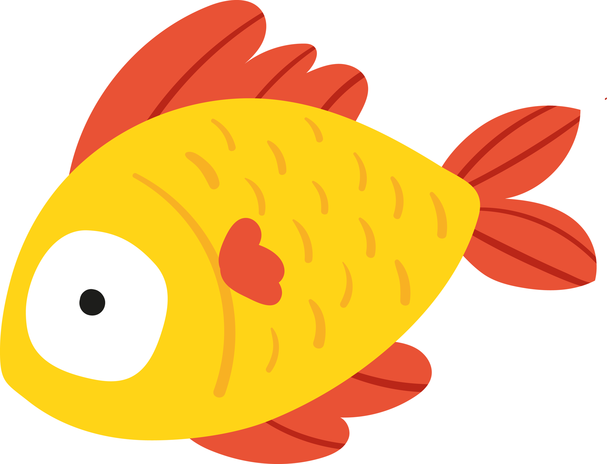Gold Fish