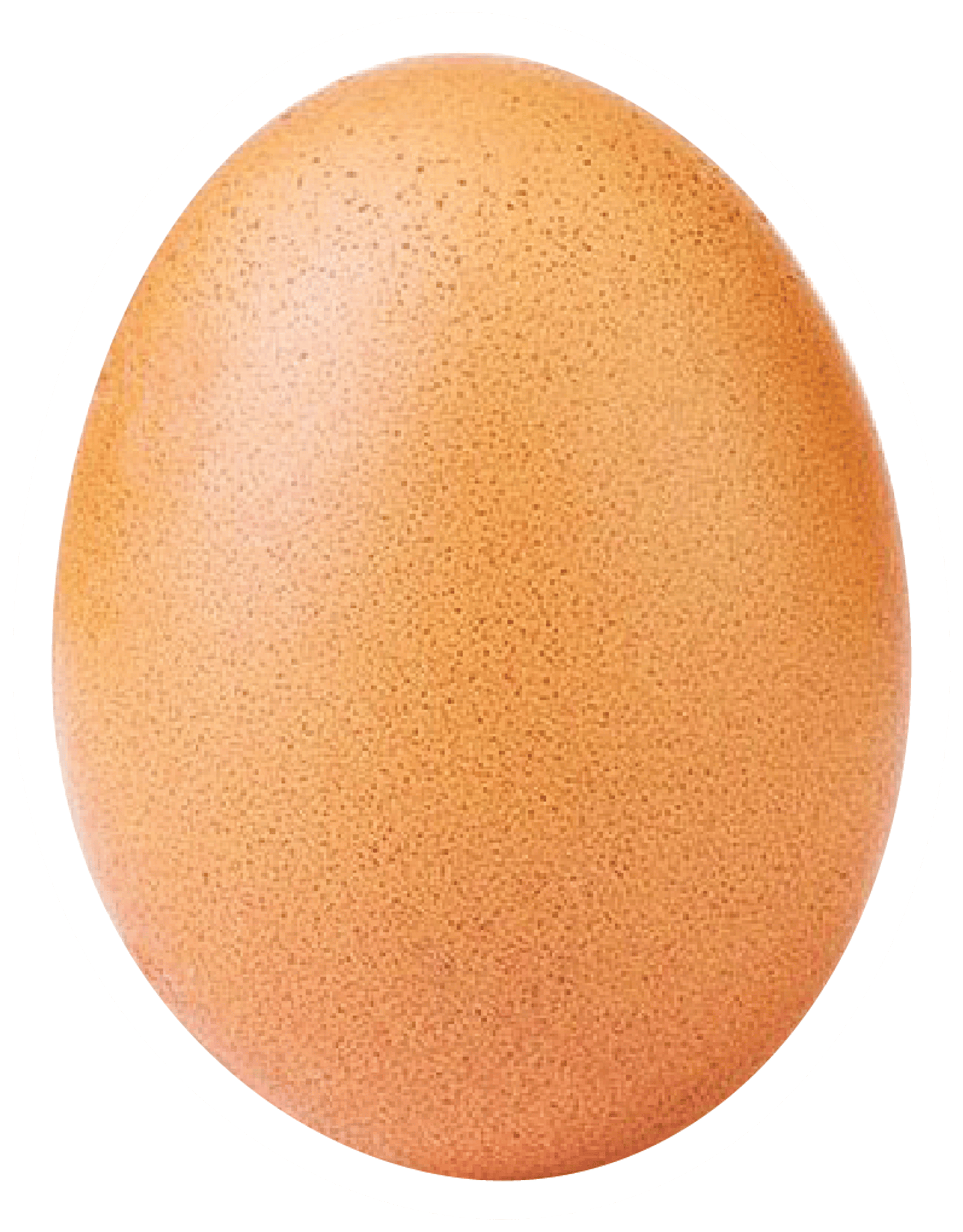 world record egg_Artboard 1.png
