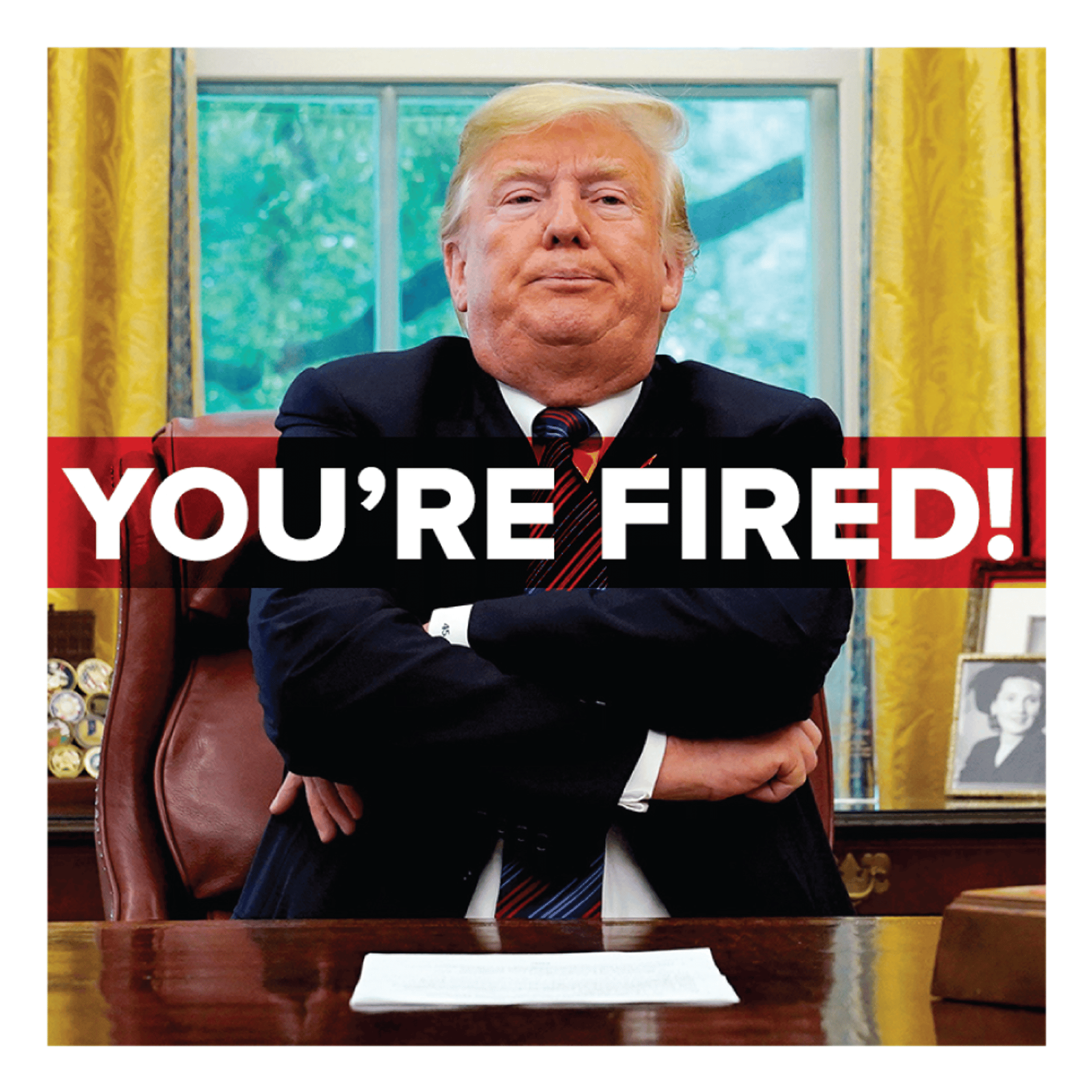 Trump You're Fired
