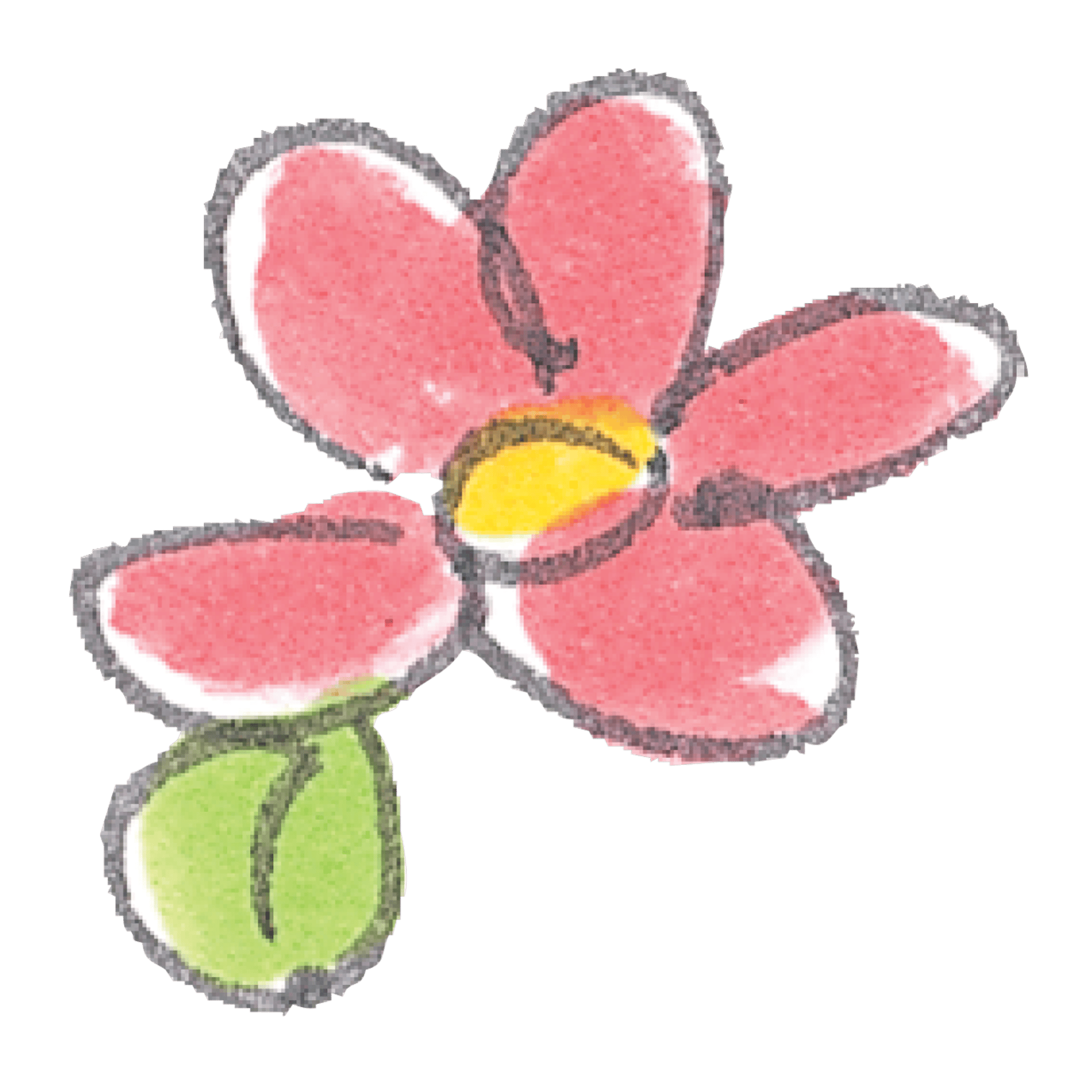 Red Flower Sketch