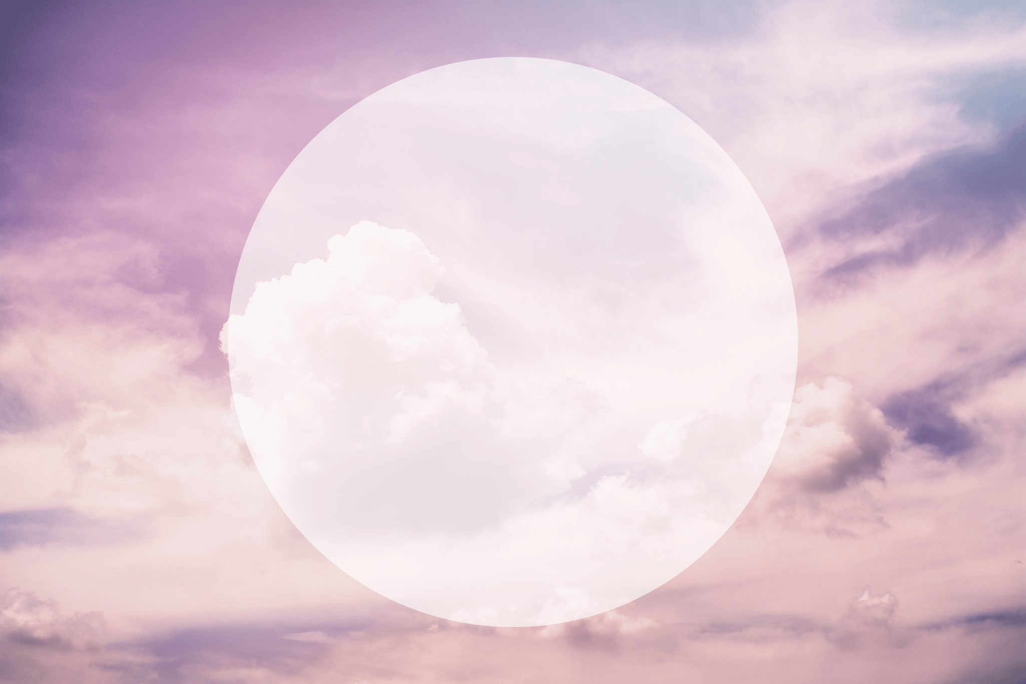 Lavender Sky Photo