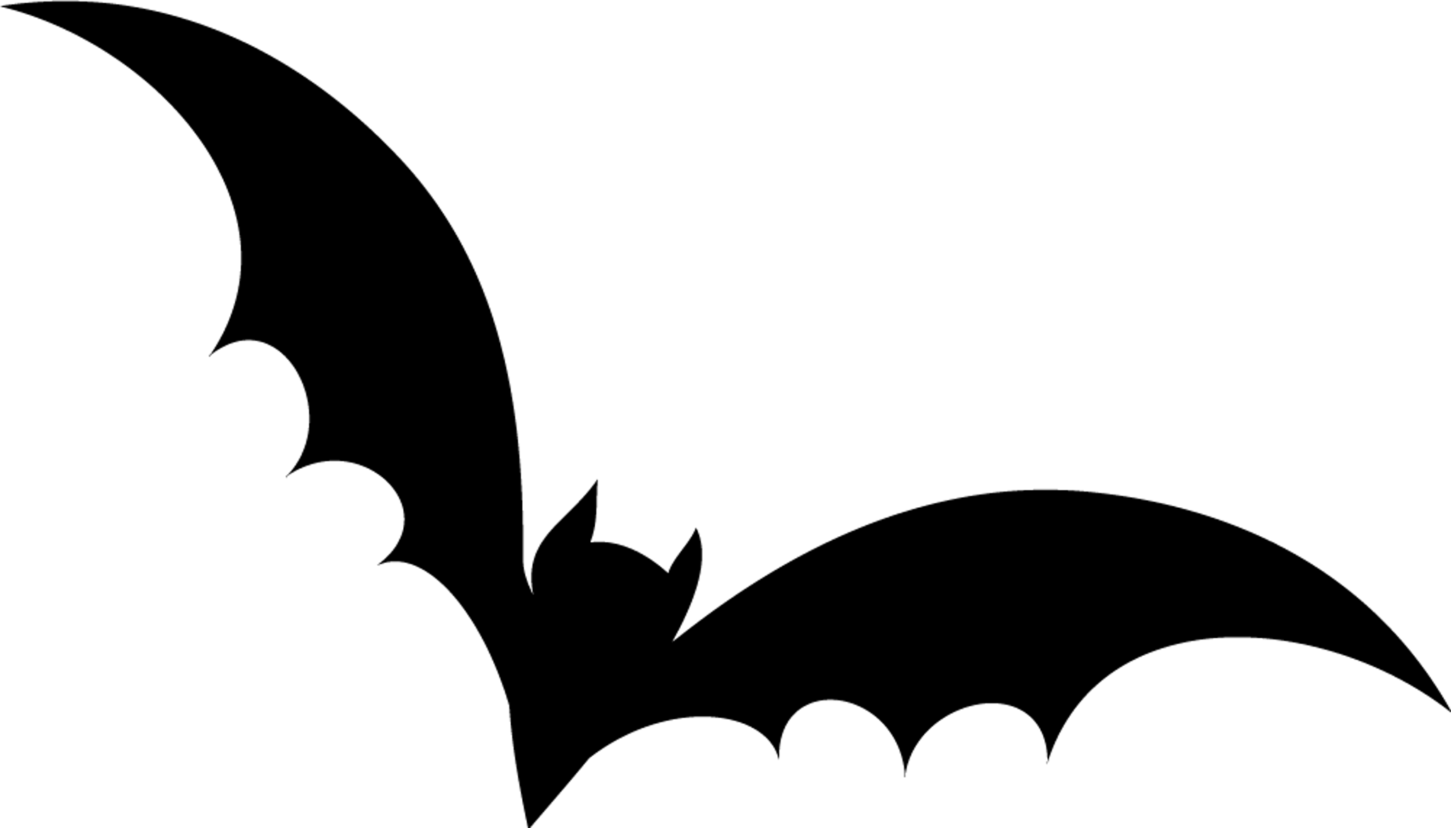Bat