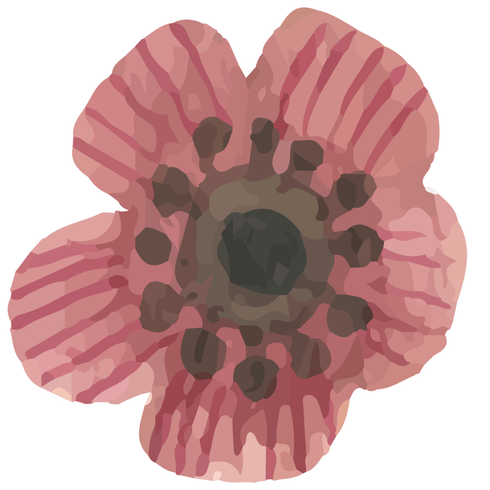 Watercolor Poppy Flower