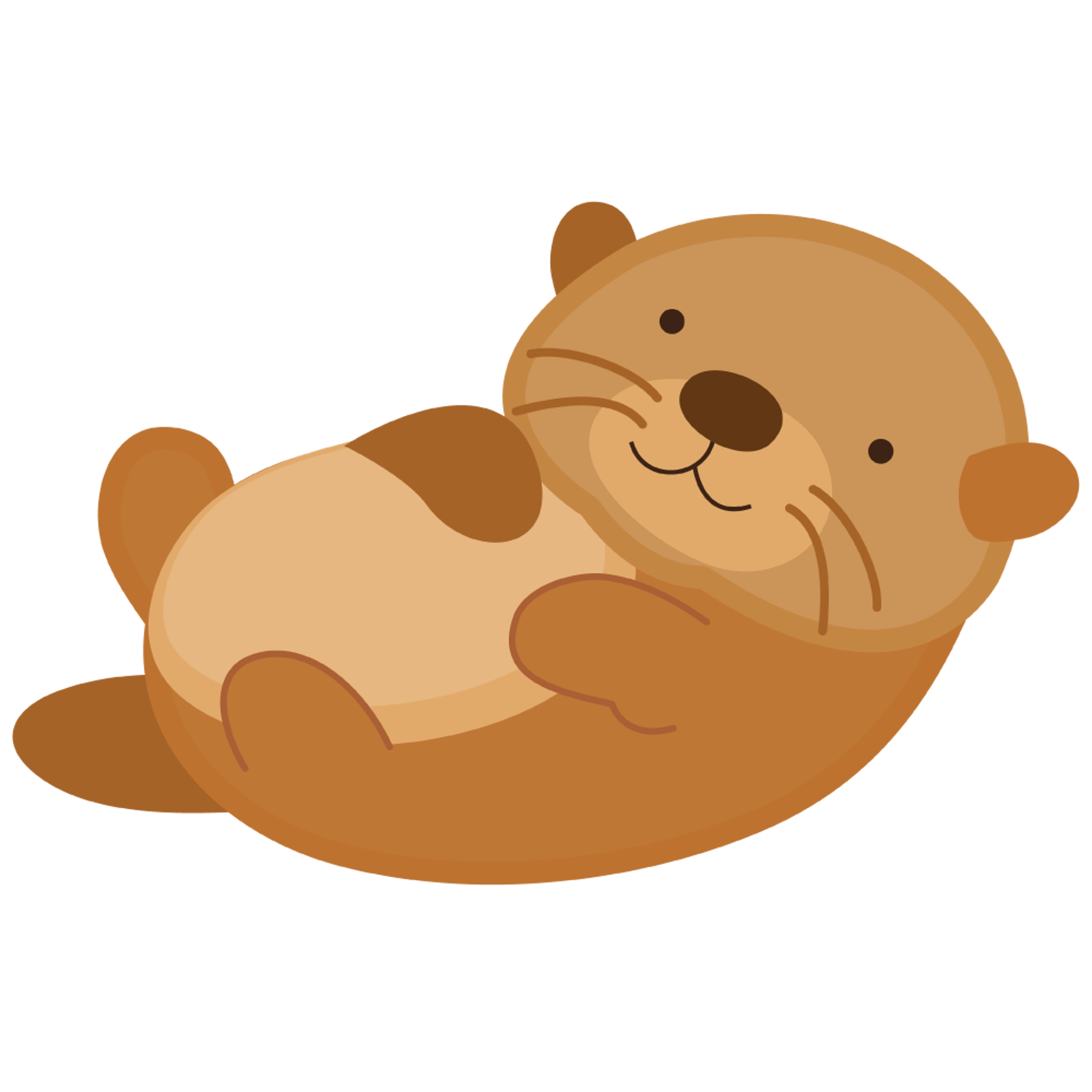 Cute Otter