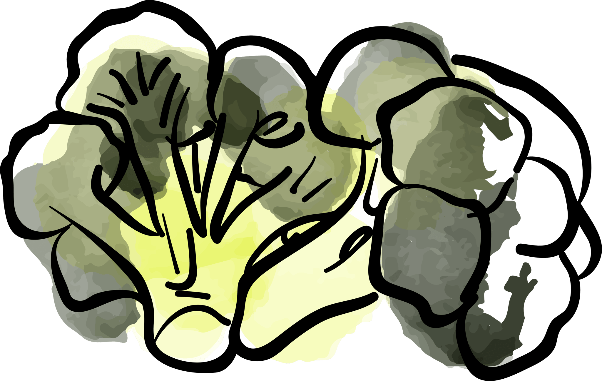 Brocolli