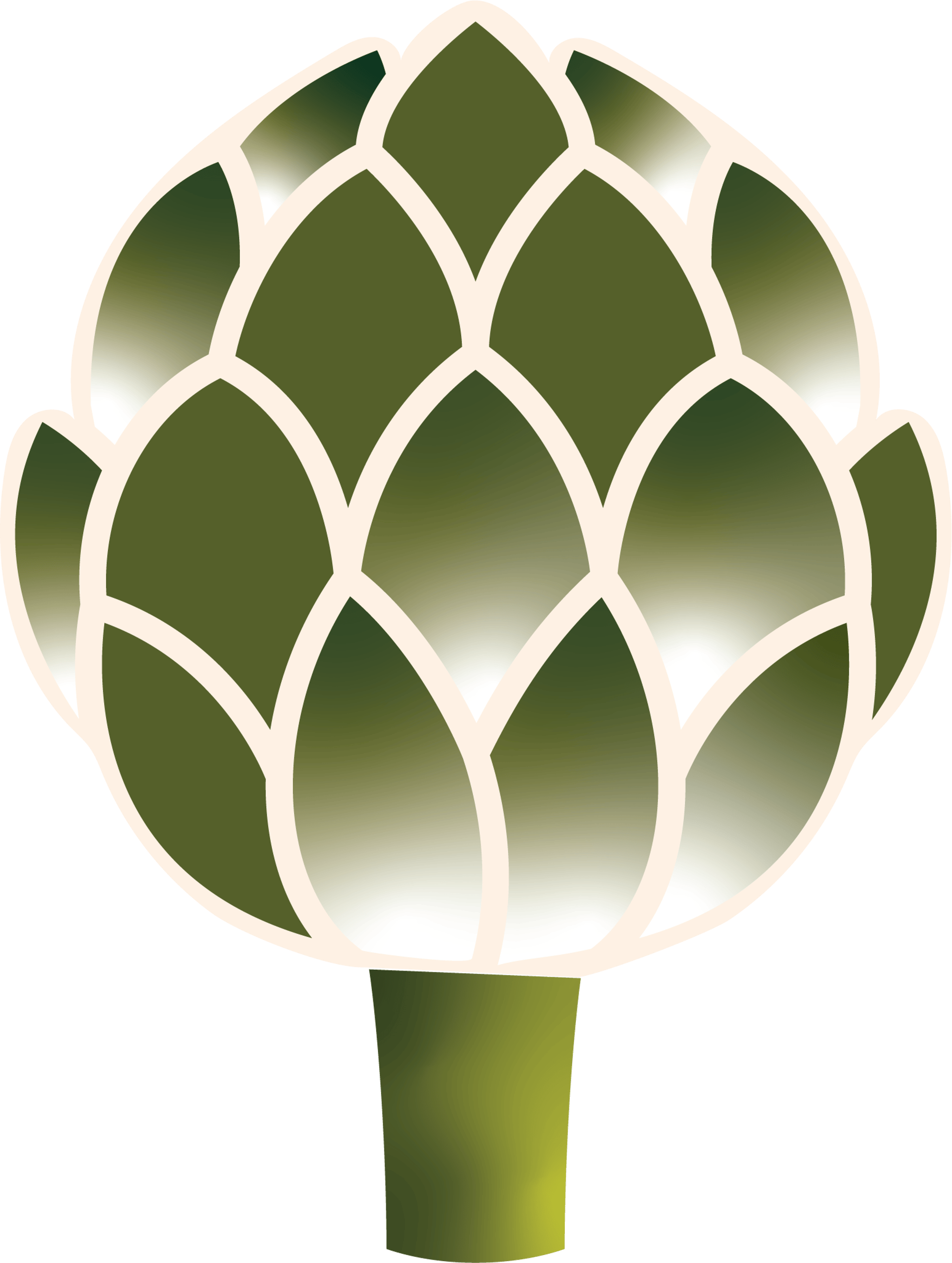 Artichoke 2