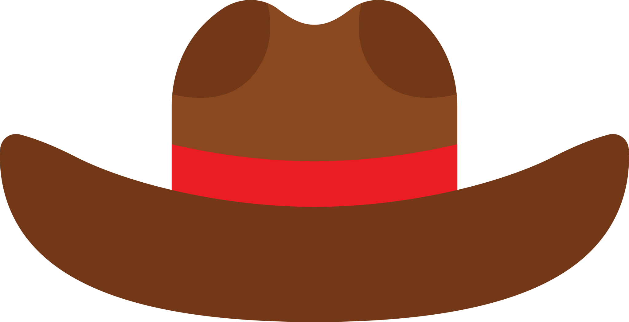 Texas Hat