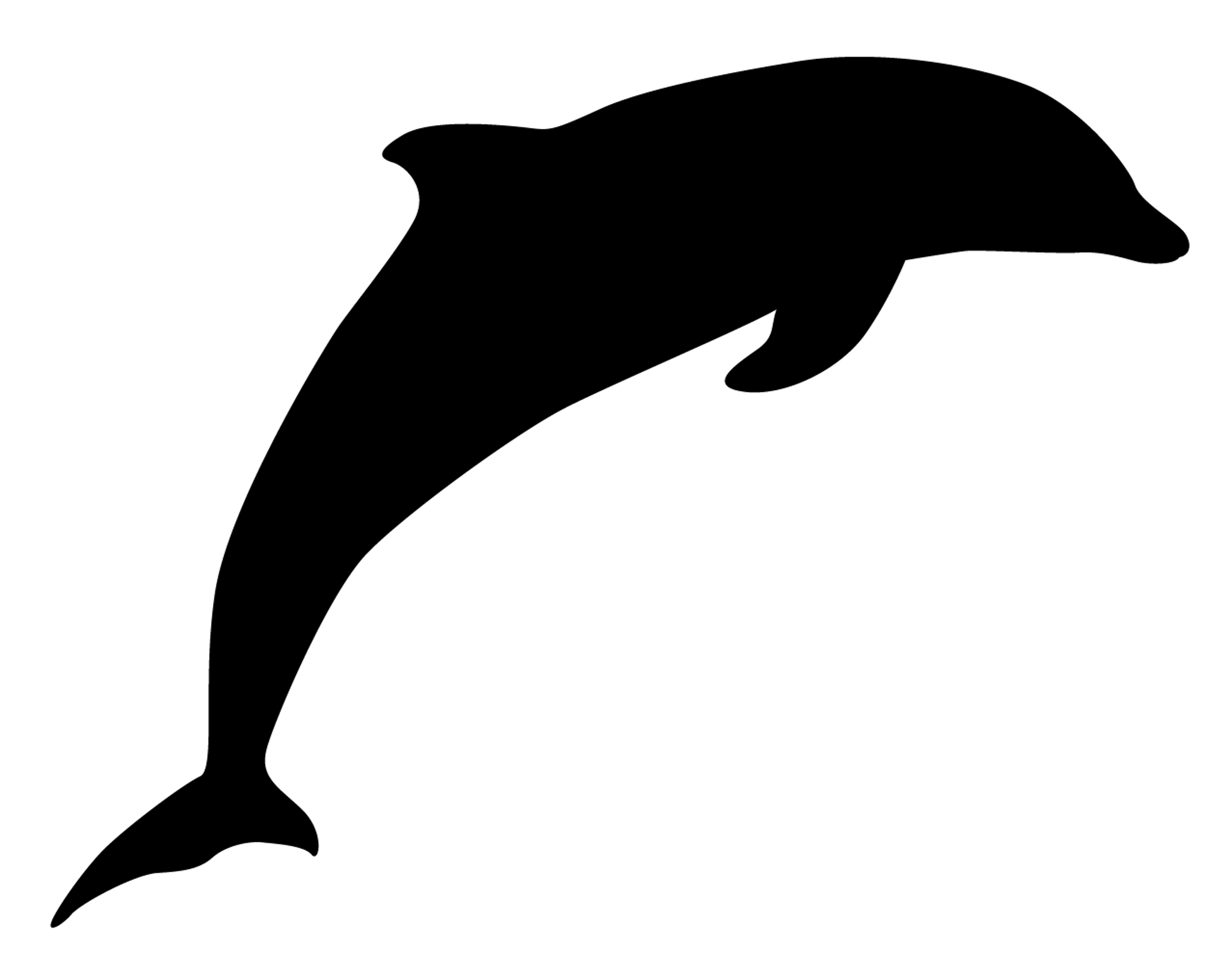 dolphin
