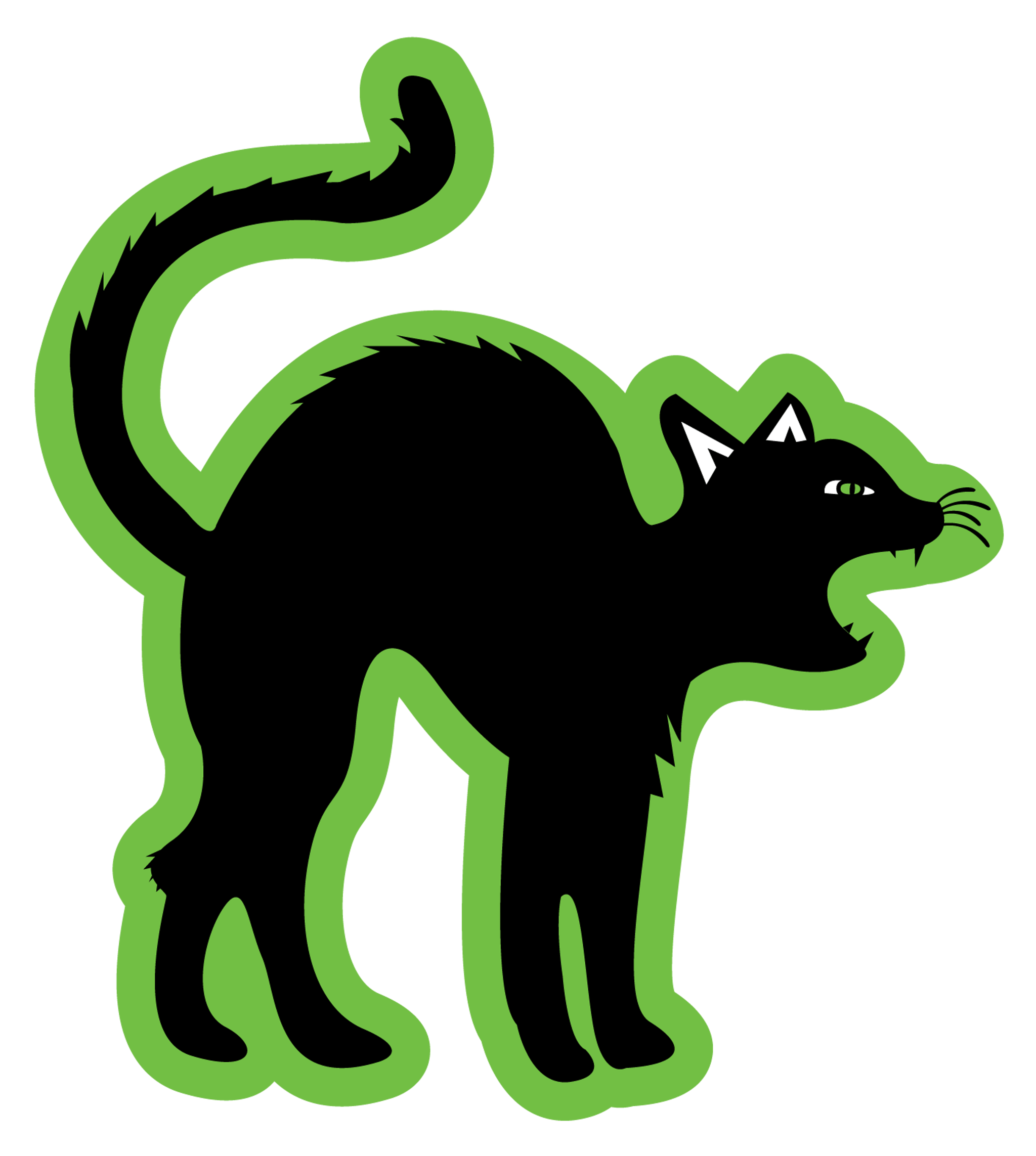 Black Cat Hiss