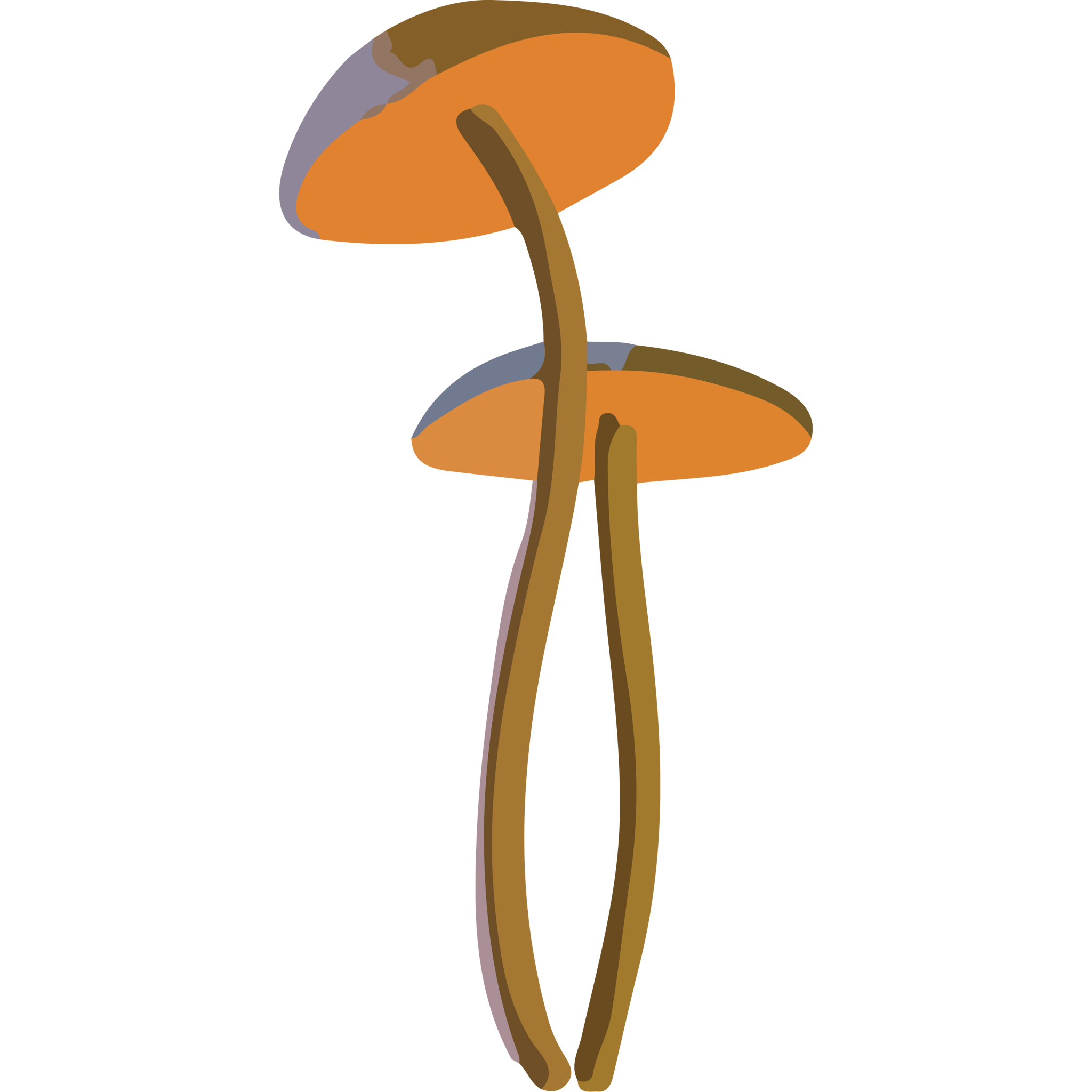 Honey Mushrooms