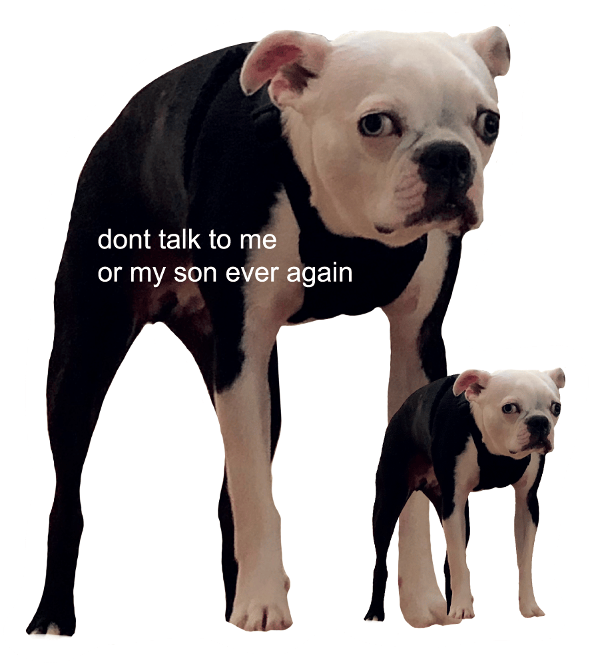 Dont Talk To Me