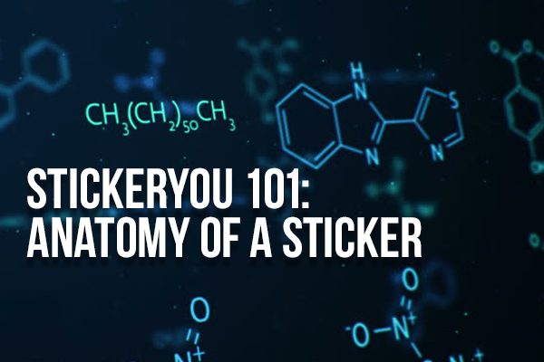 Unveiling the Secrets of Sticker Anatomy: A Guide with Infographics