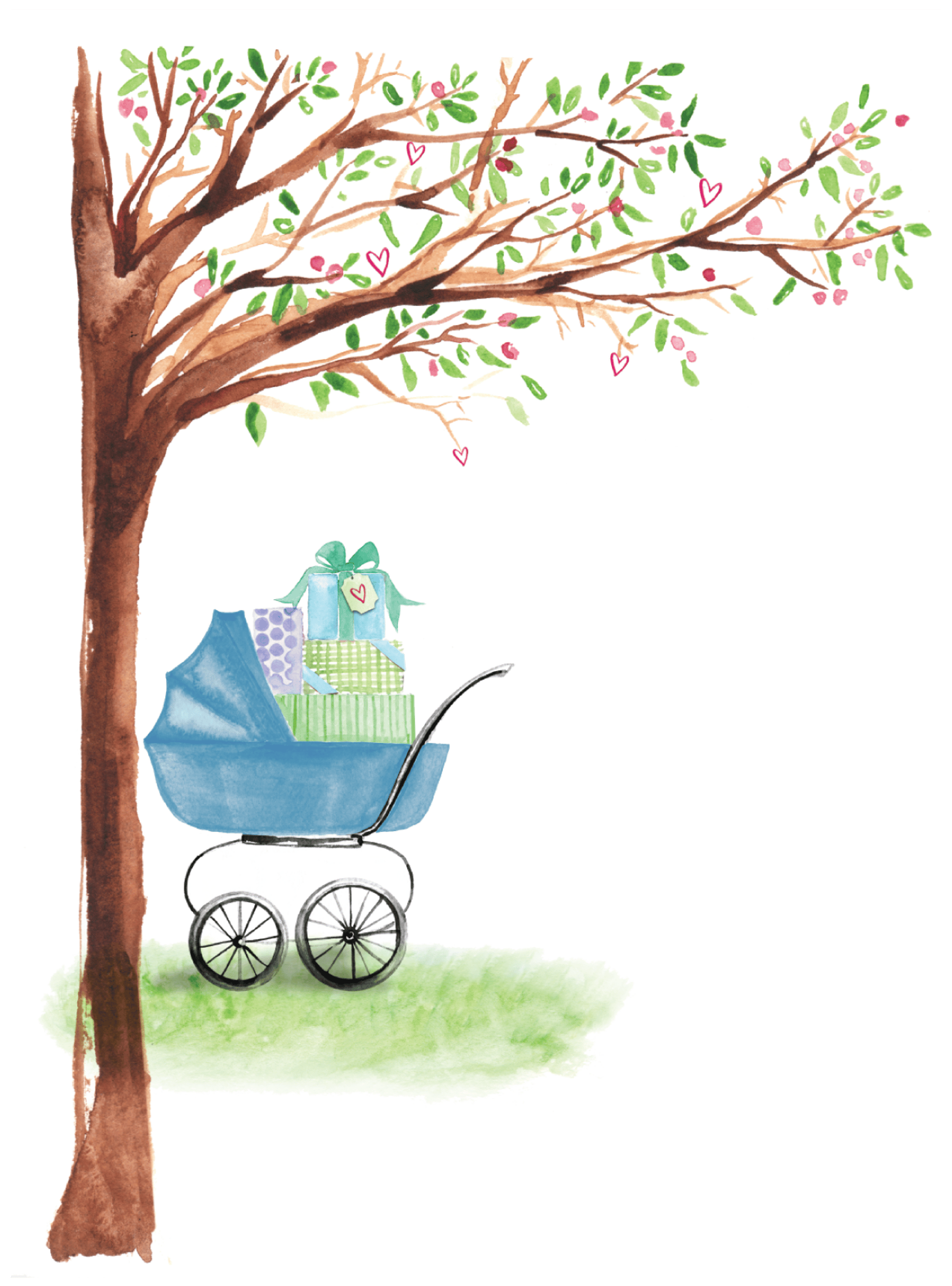 Baby Carriage Boy