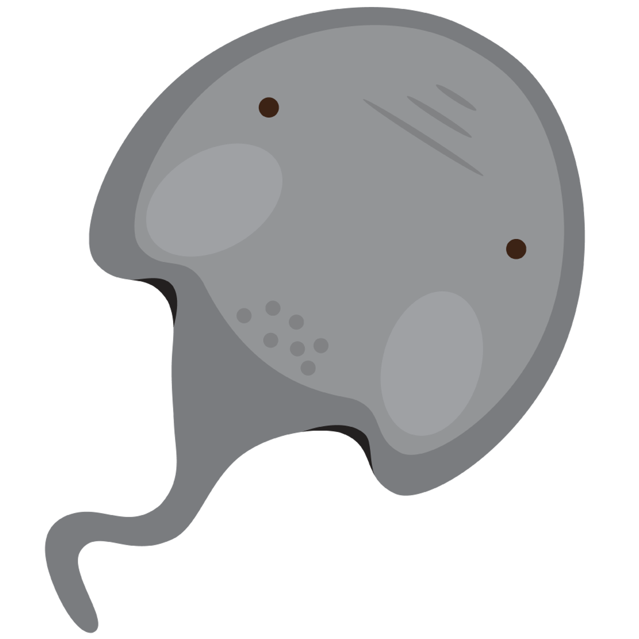 StingRay