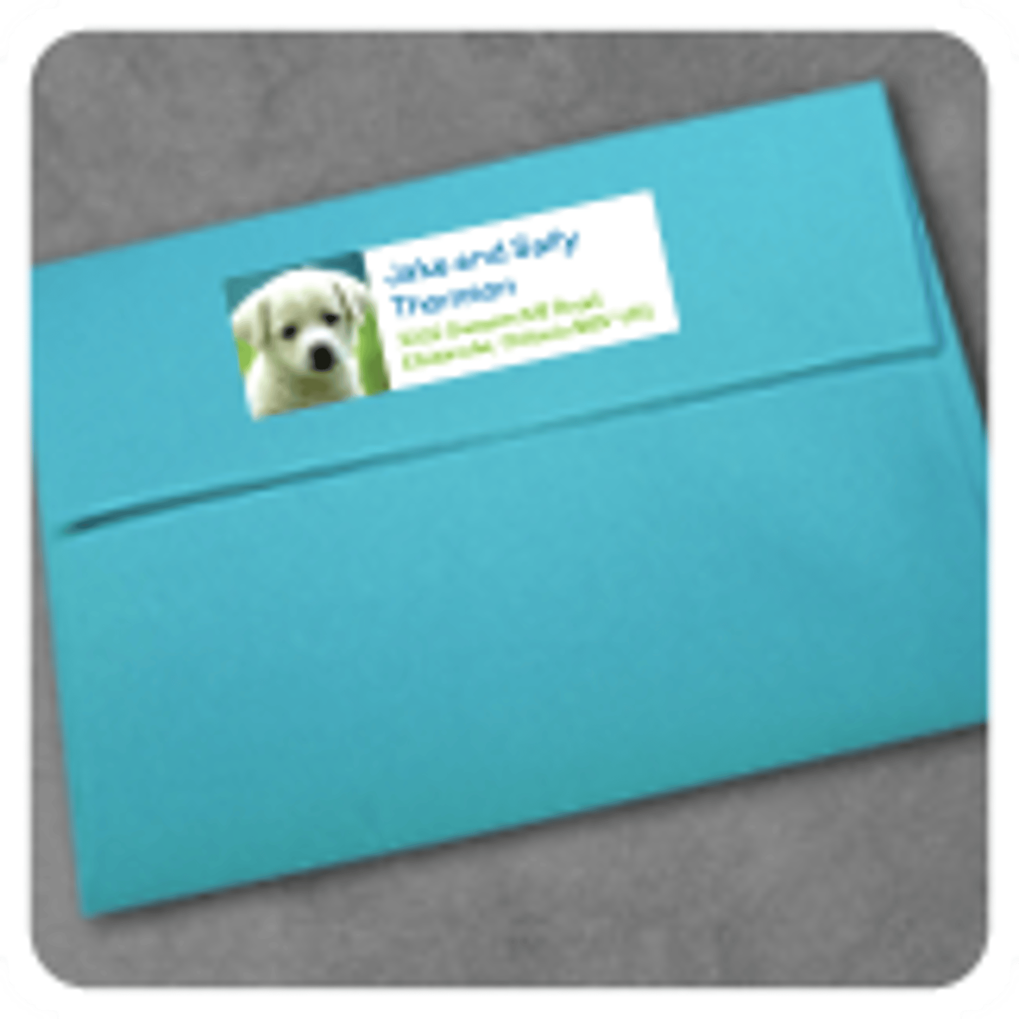 AddressLabels_image4