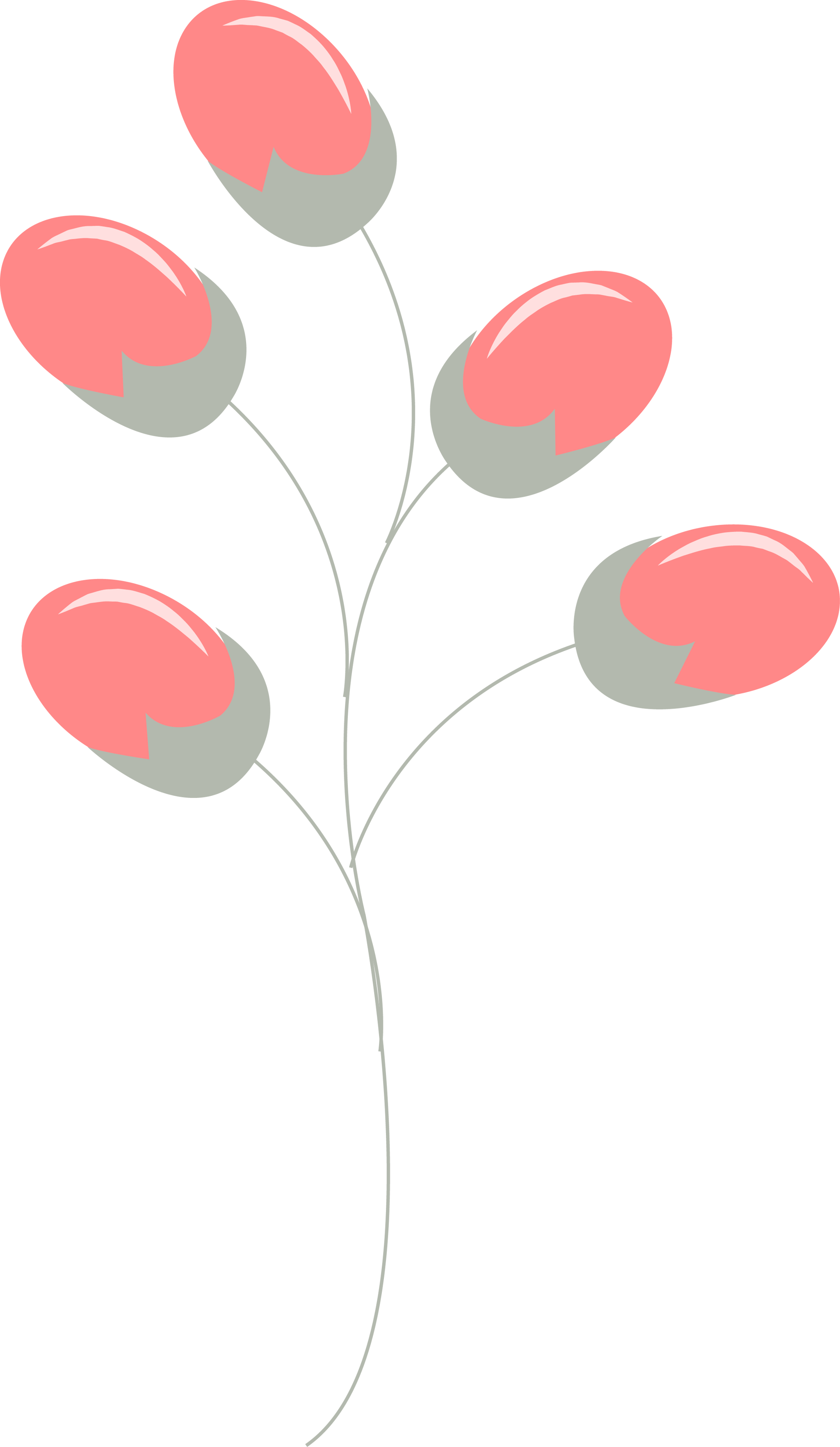 Flower Buds