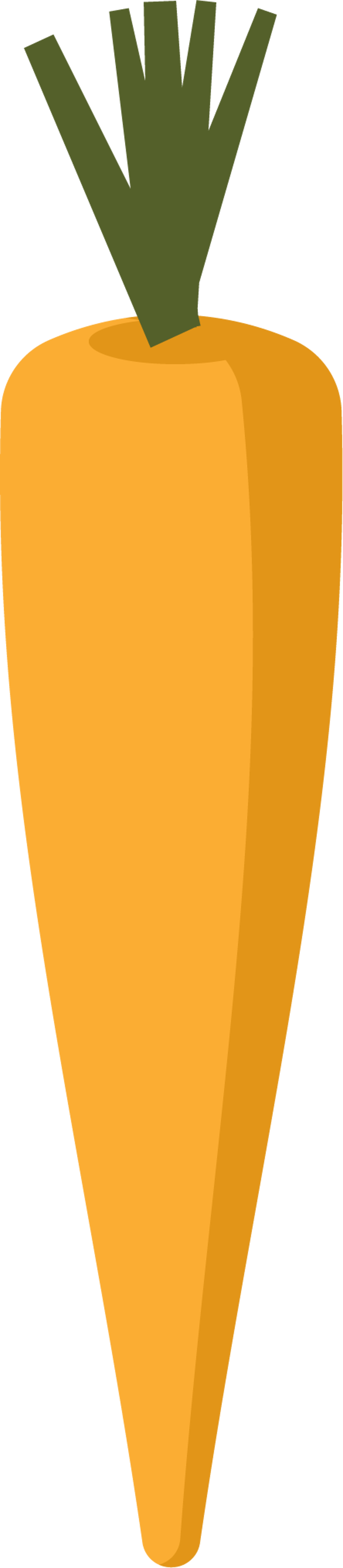 Carrot Style 1