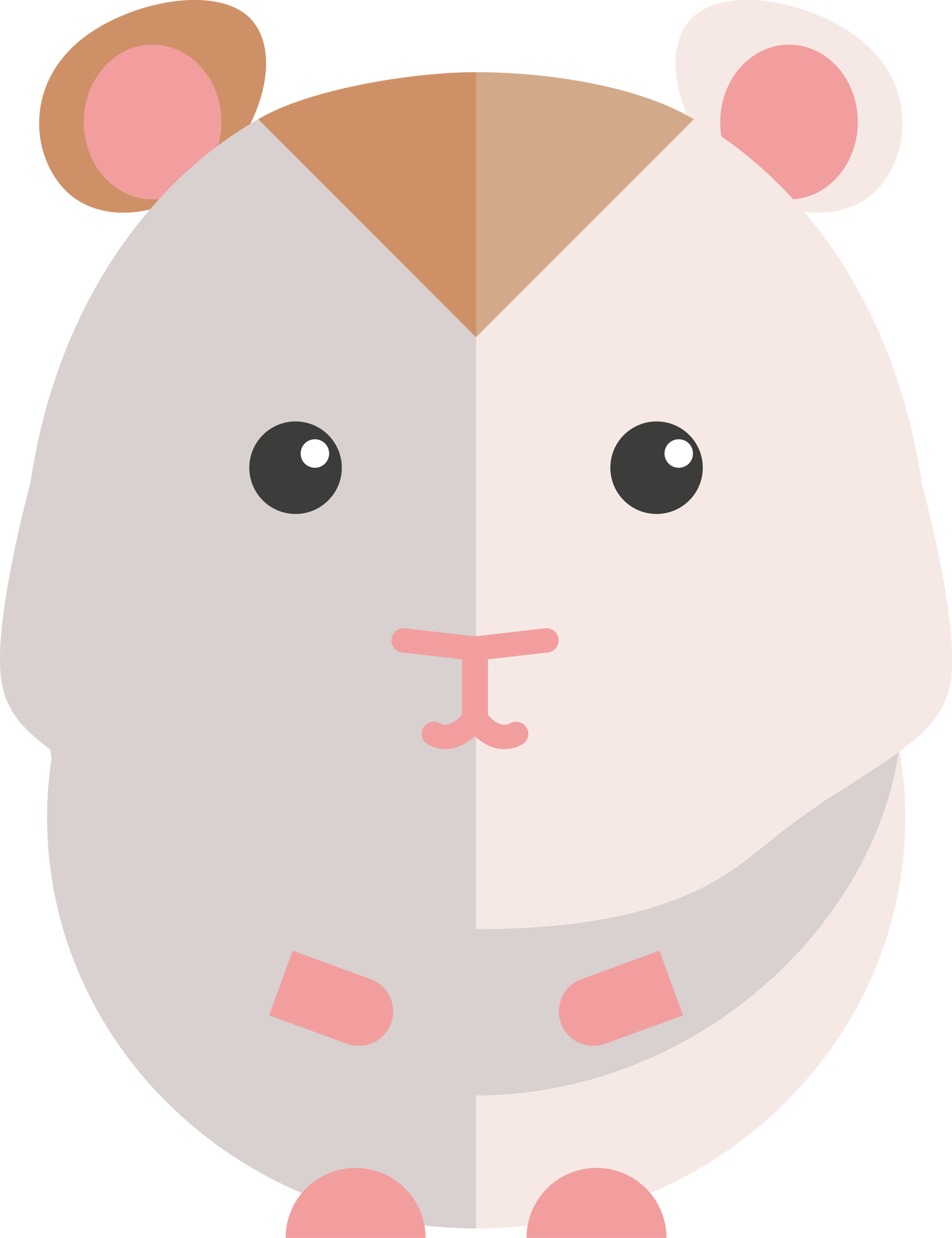 Hampster