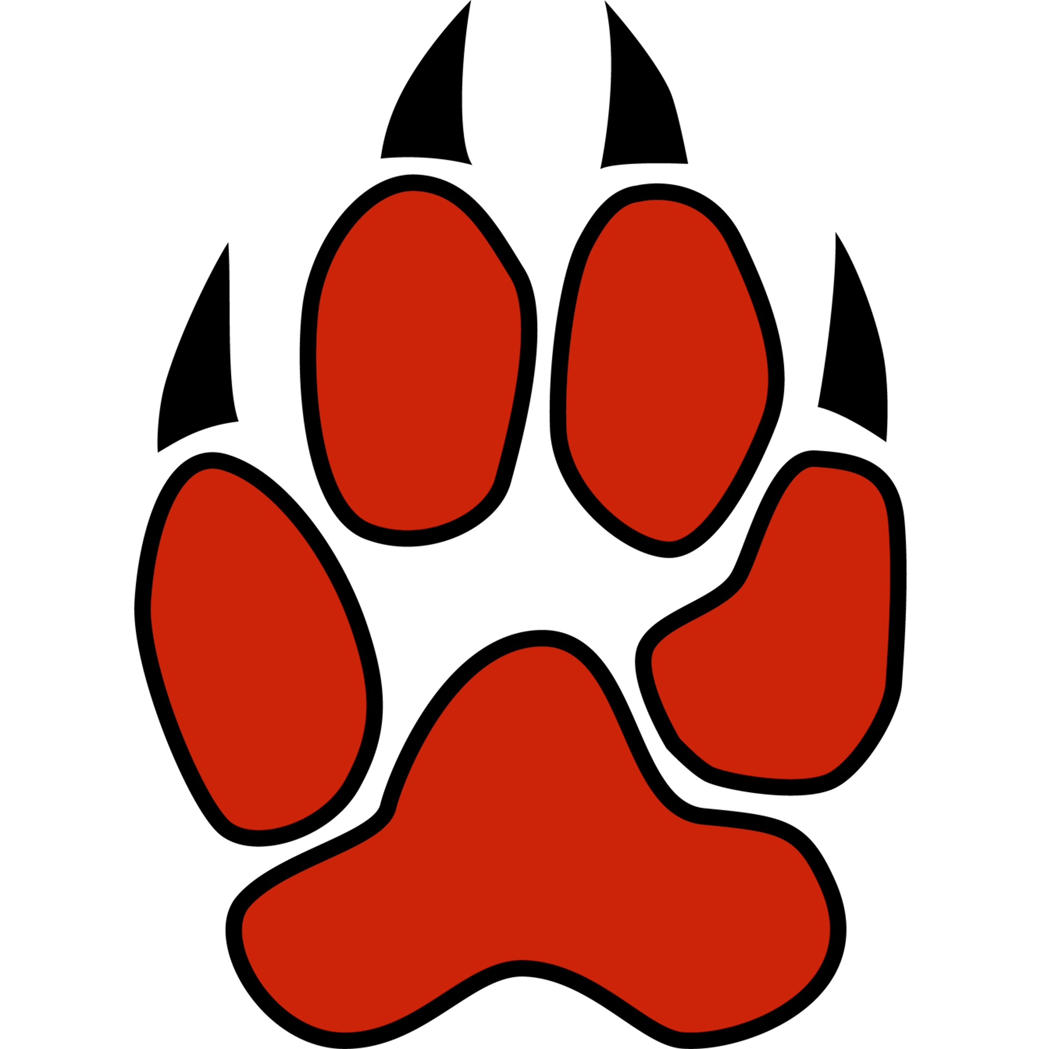 Tiger_Paw-footprint_Custom.pdf