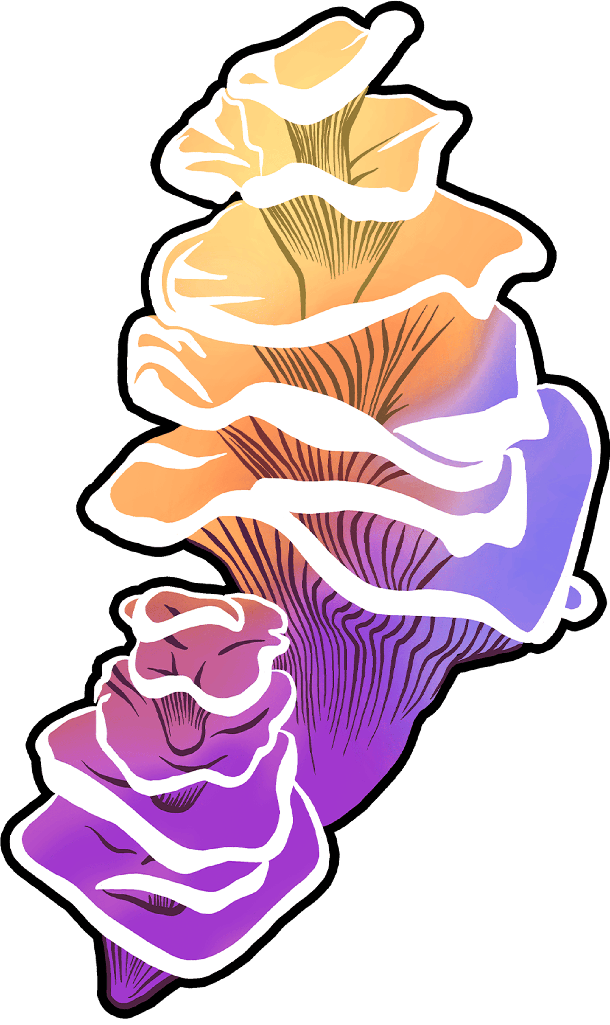 Purple Yellow Tall Fungi