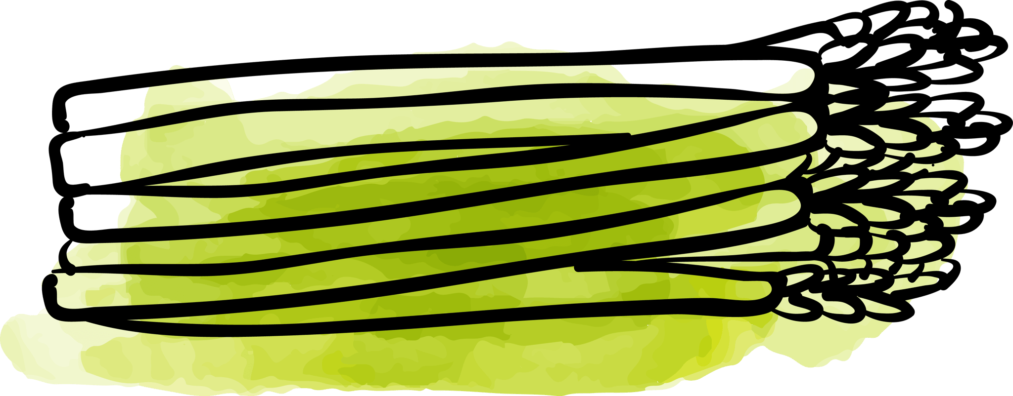 Asparagus
