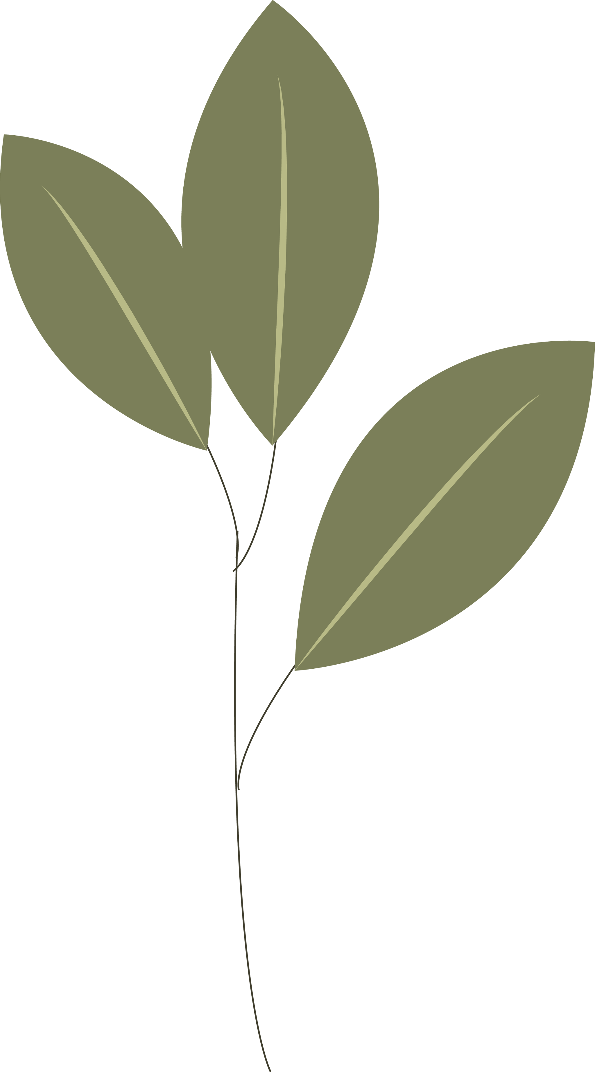 Flower 5