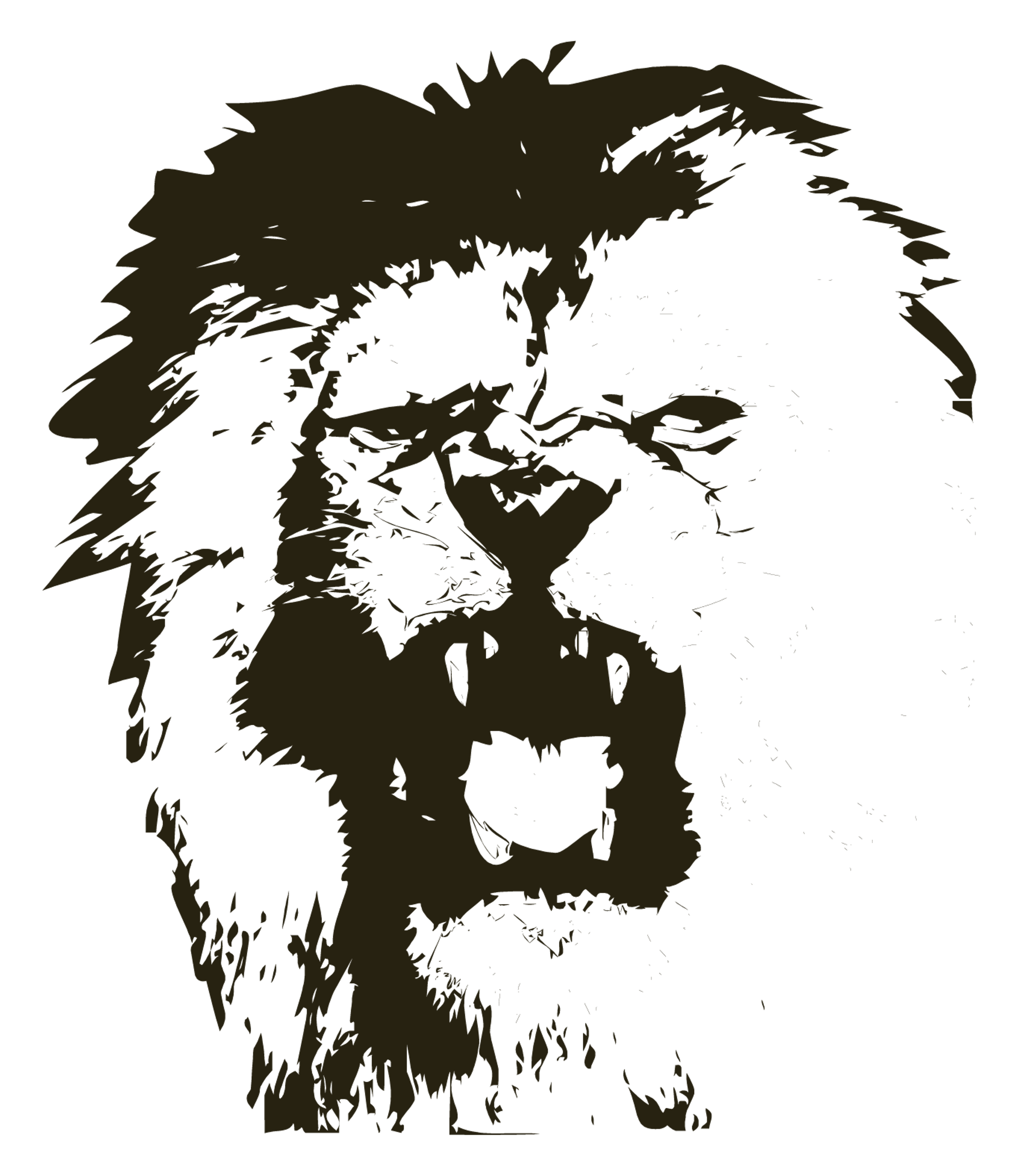 Lion Head Drawing