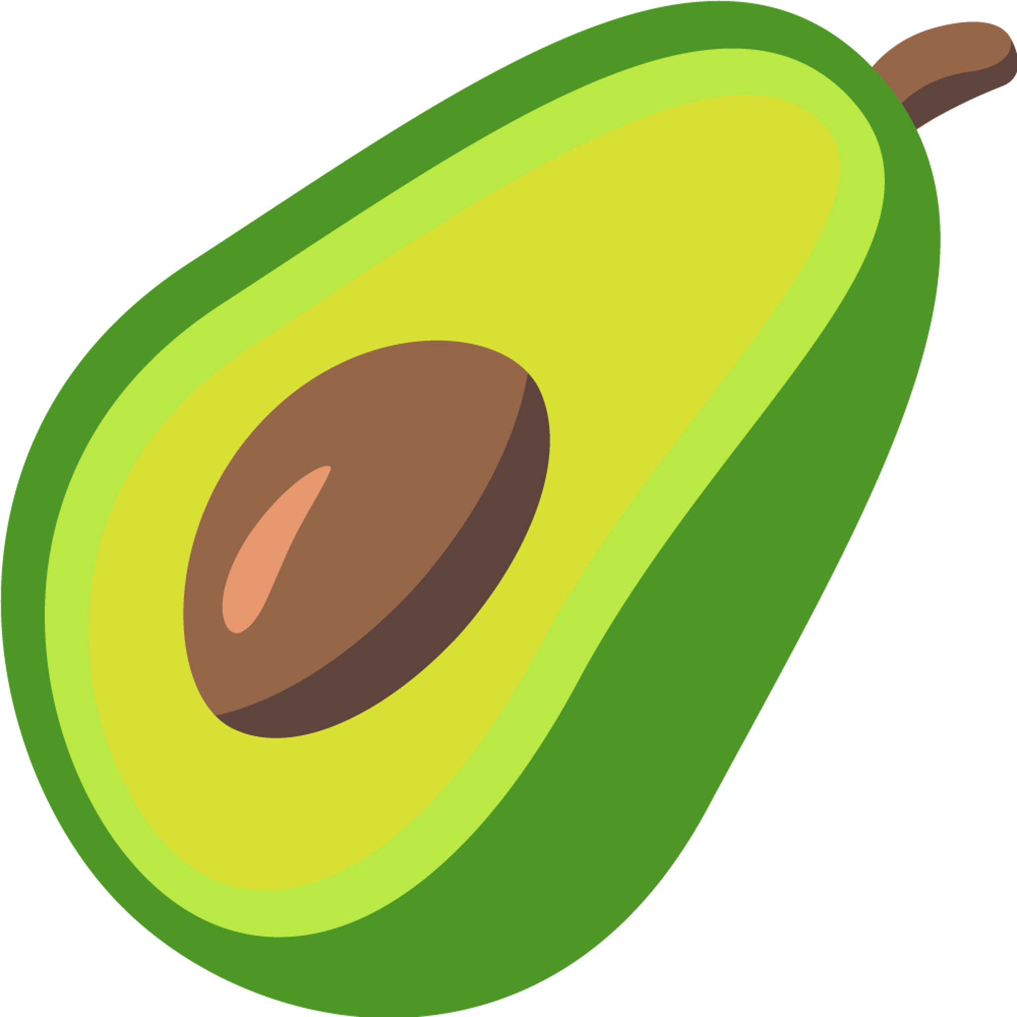 Avocado