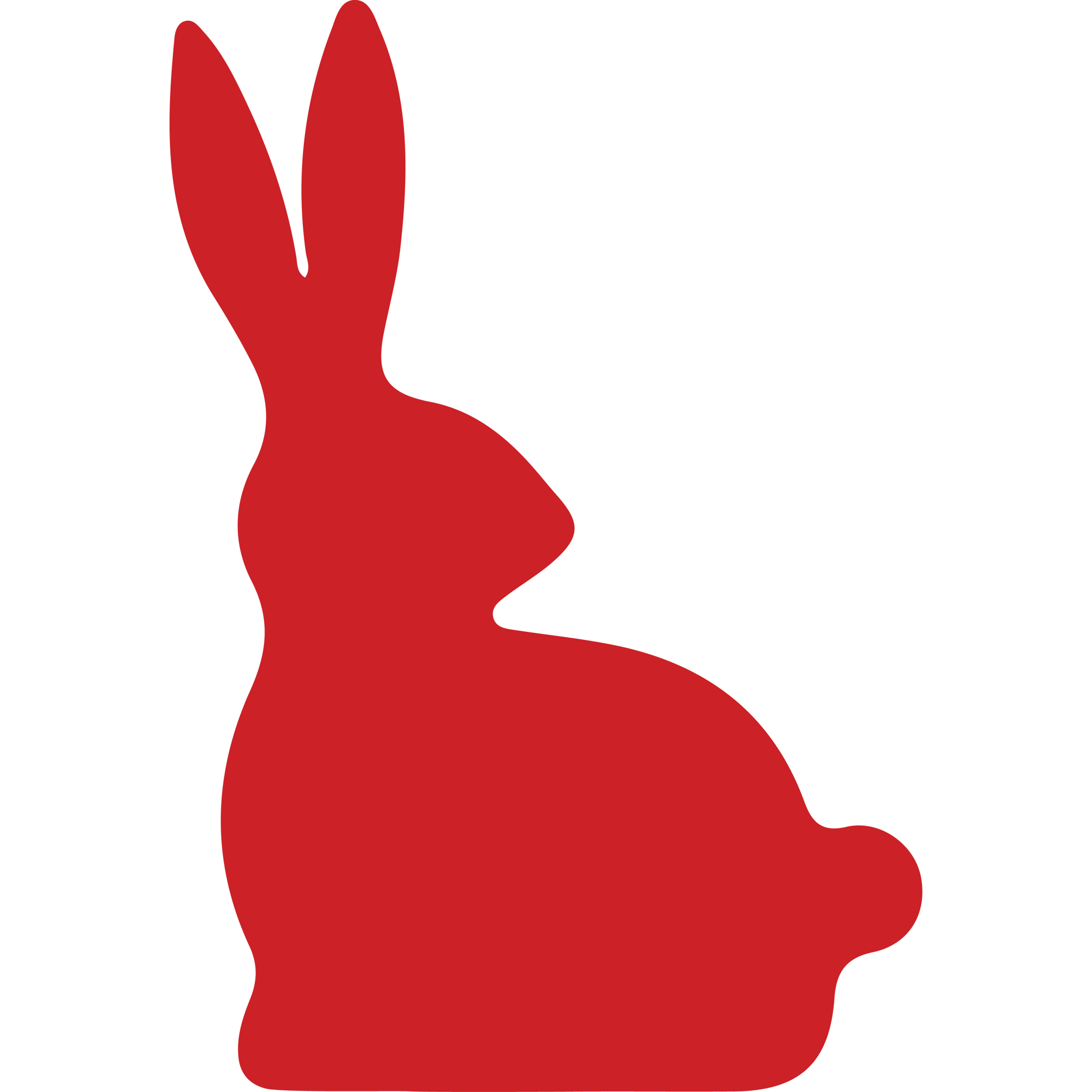 Rabbit Laying