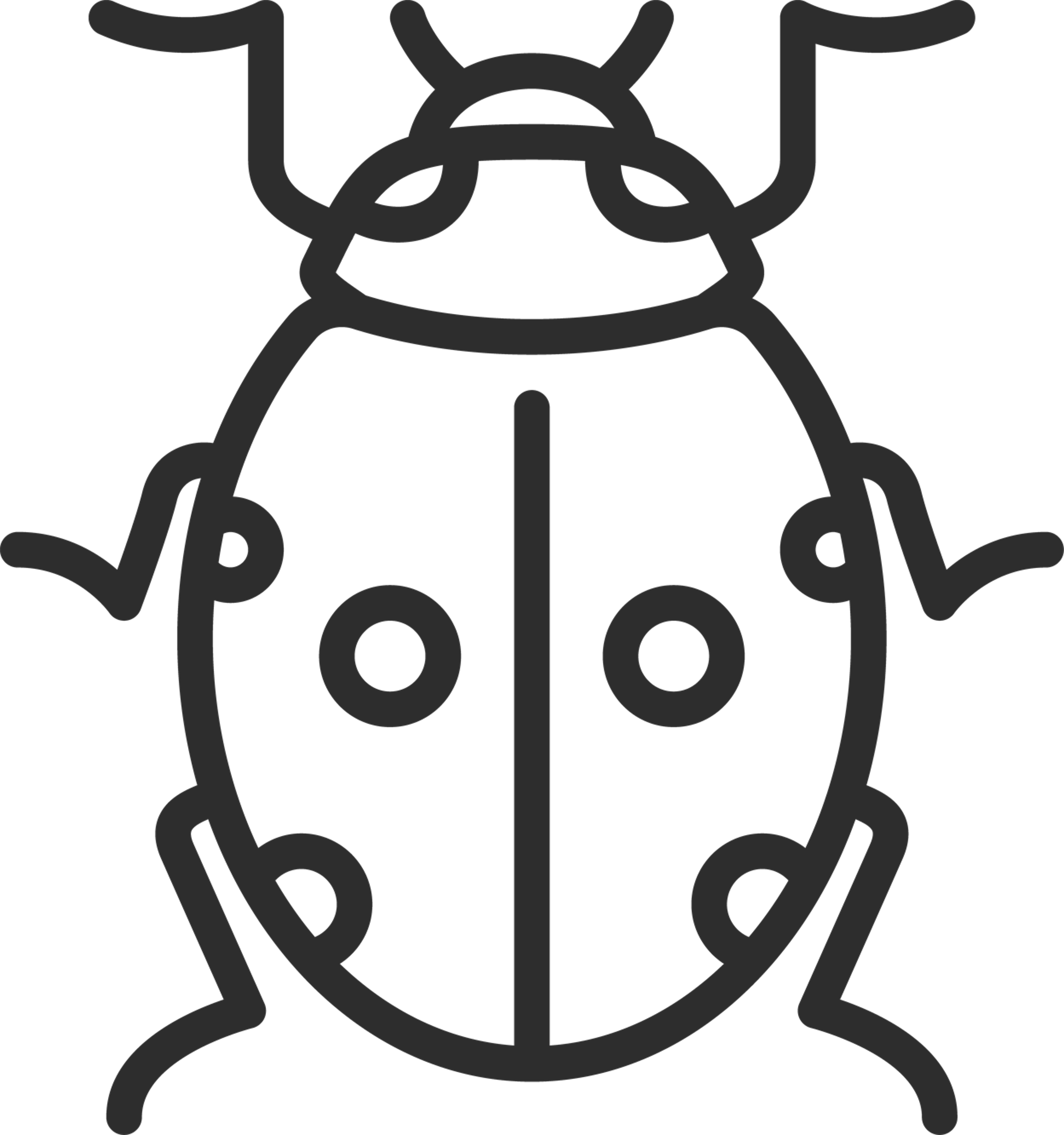 Ladybug Outline