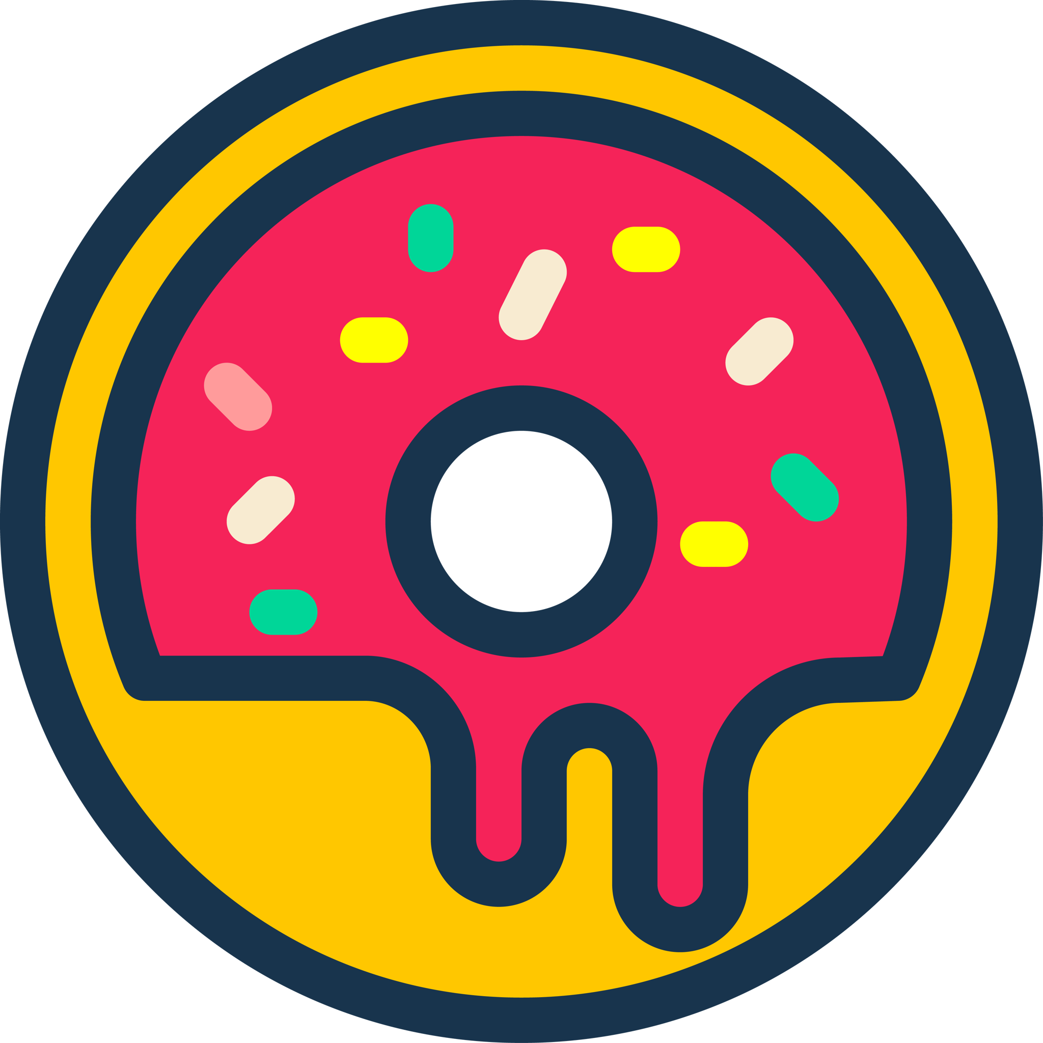 Donut