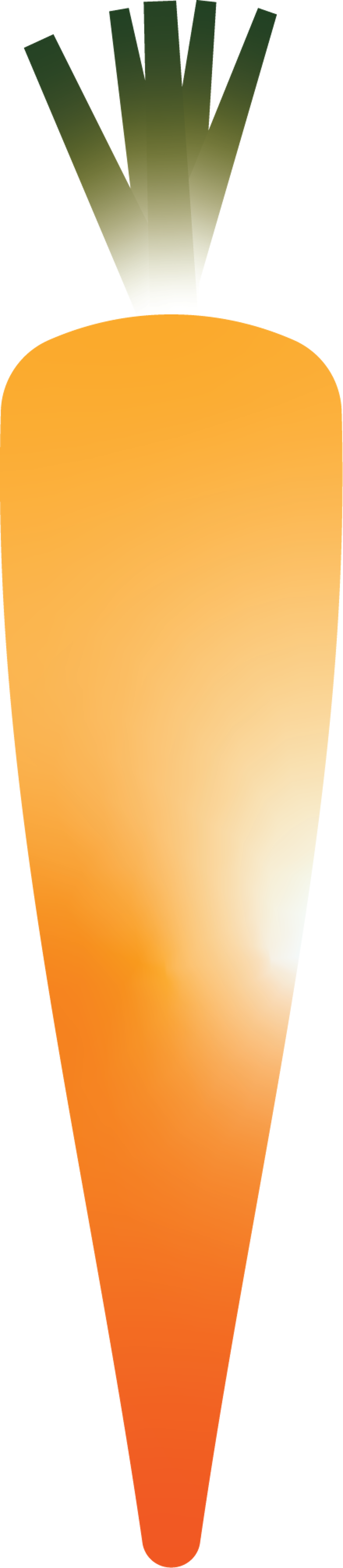 Carrot Style 2