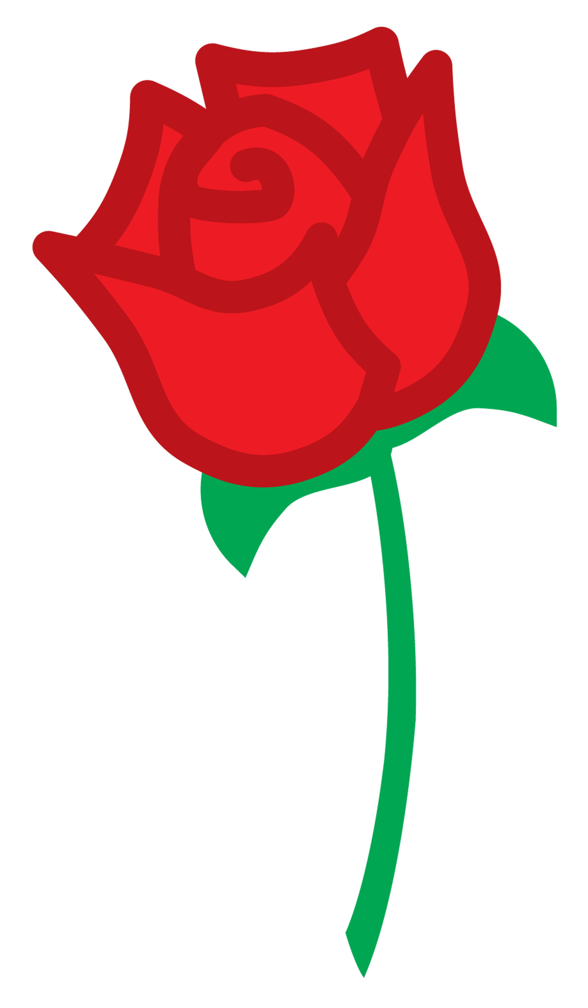 Plain Rose Flower
