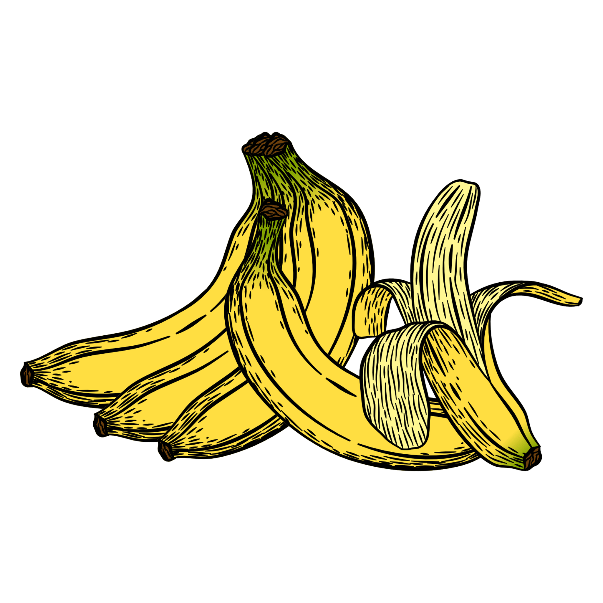 Banana Illustration