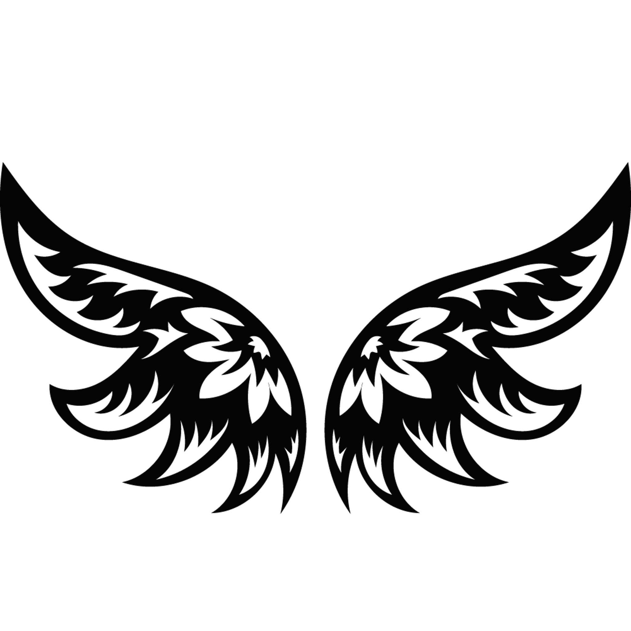 Stylized Angel Wings