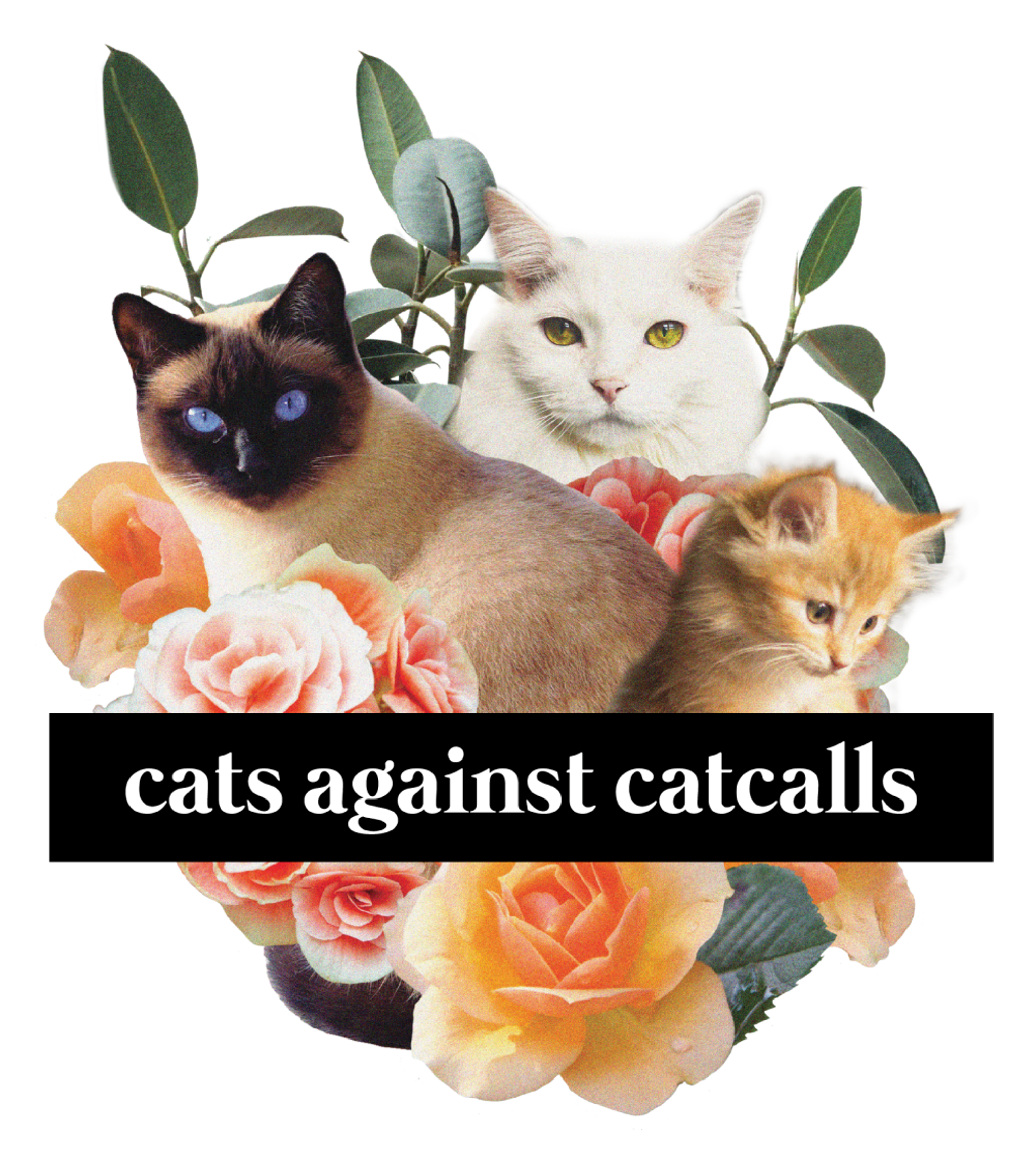 Cats against Cat Calls
