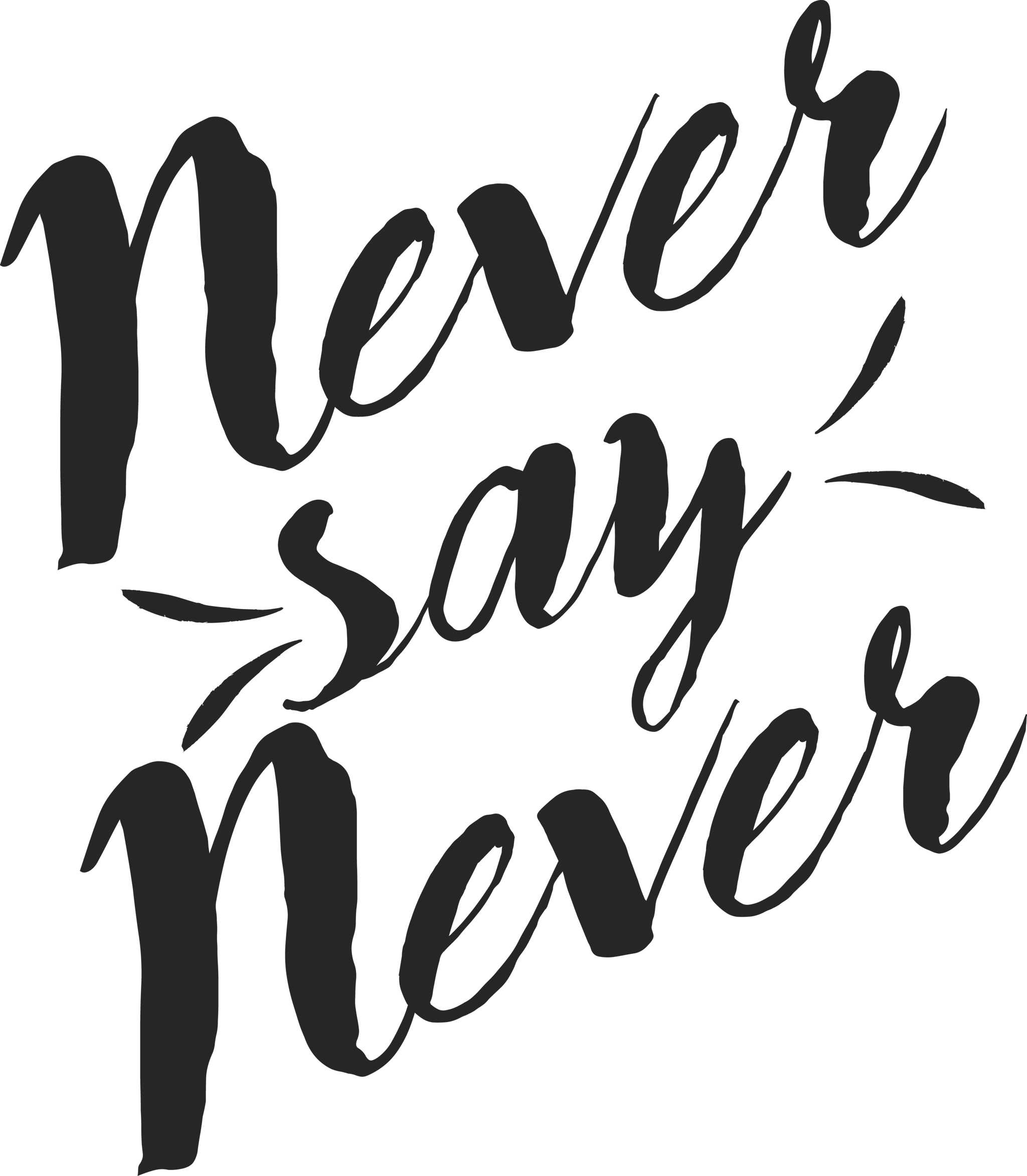 Never Say Never