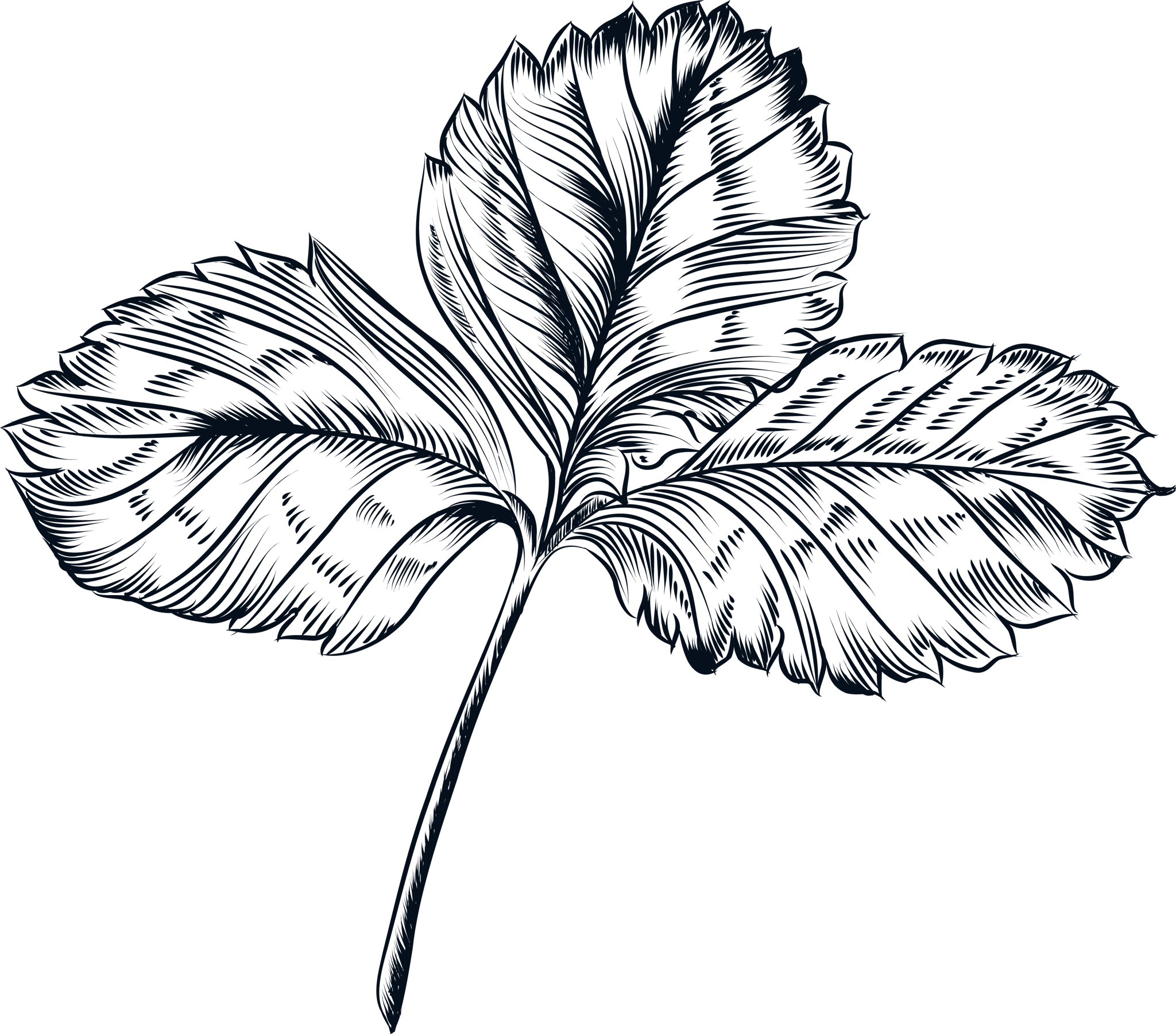 Line Flowers 9
