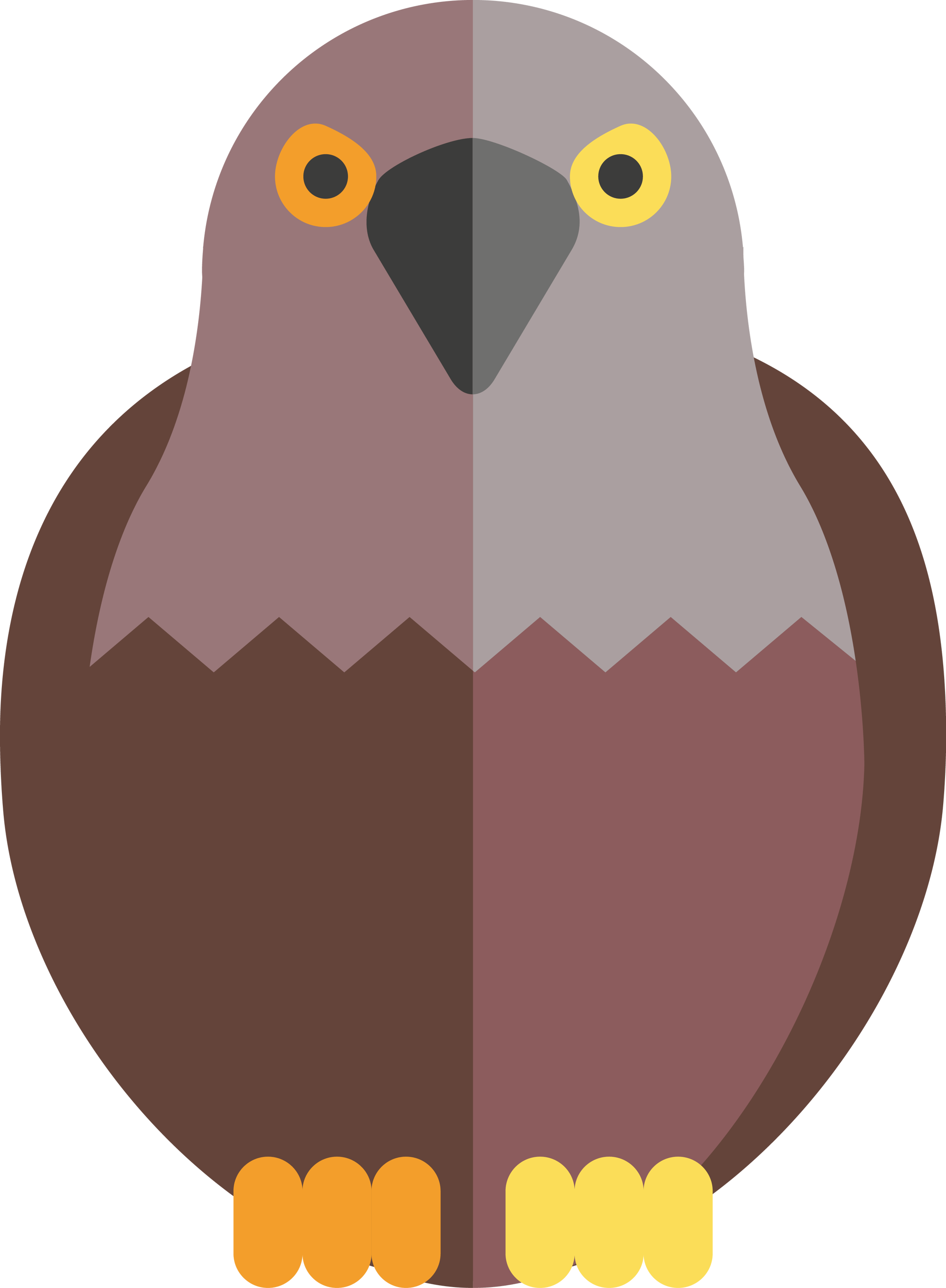 Pigeon Eagle Bird