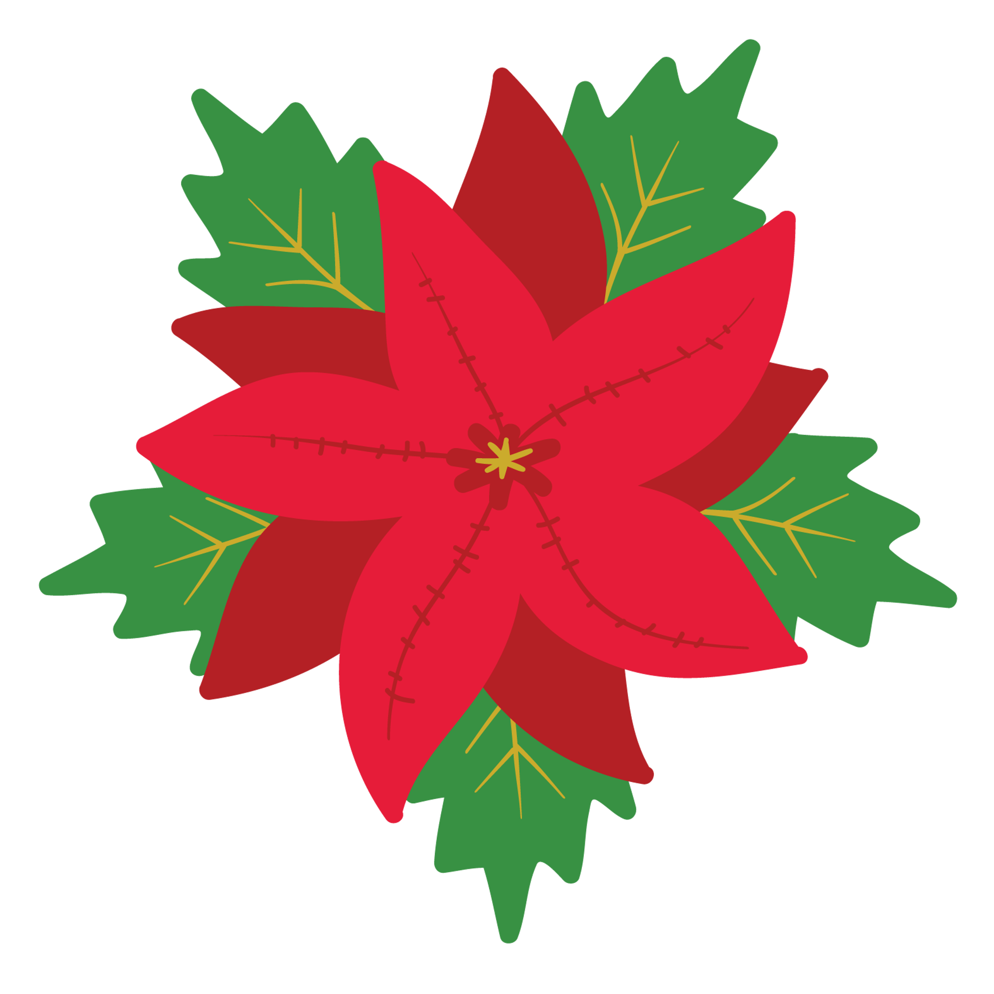 Christmas Poinsettia Flower