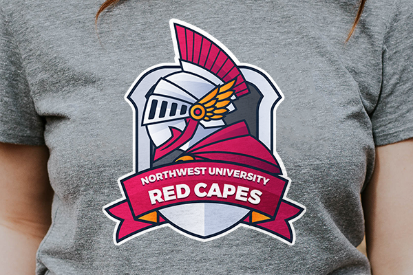 Iron-on on a t-shirt for an intramural sports team