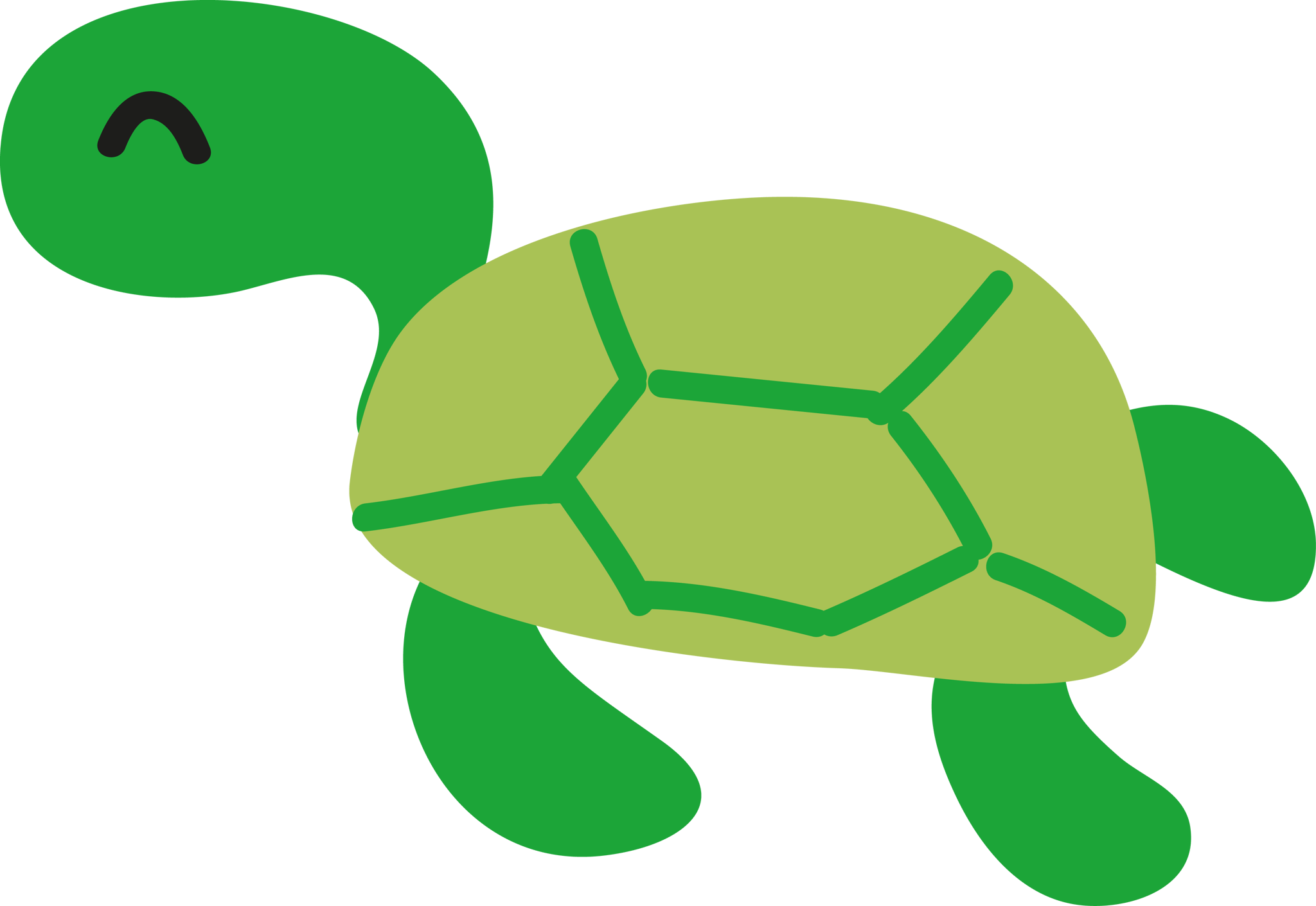 Turtle