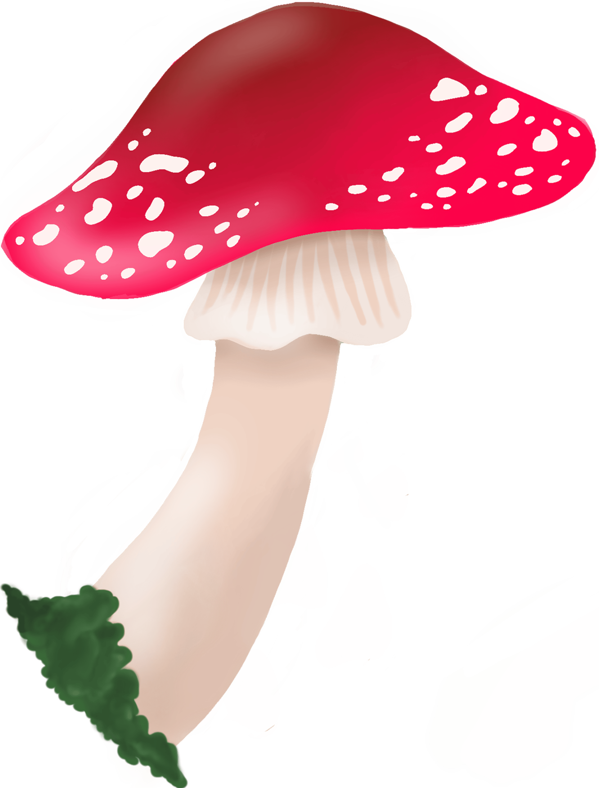 Whimsical Amanita Mushroom