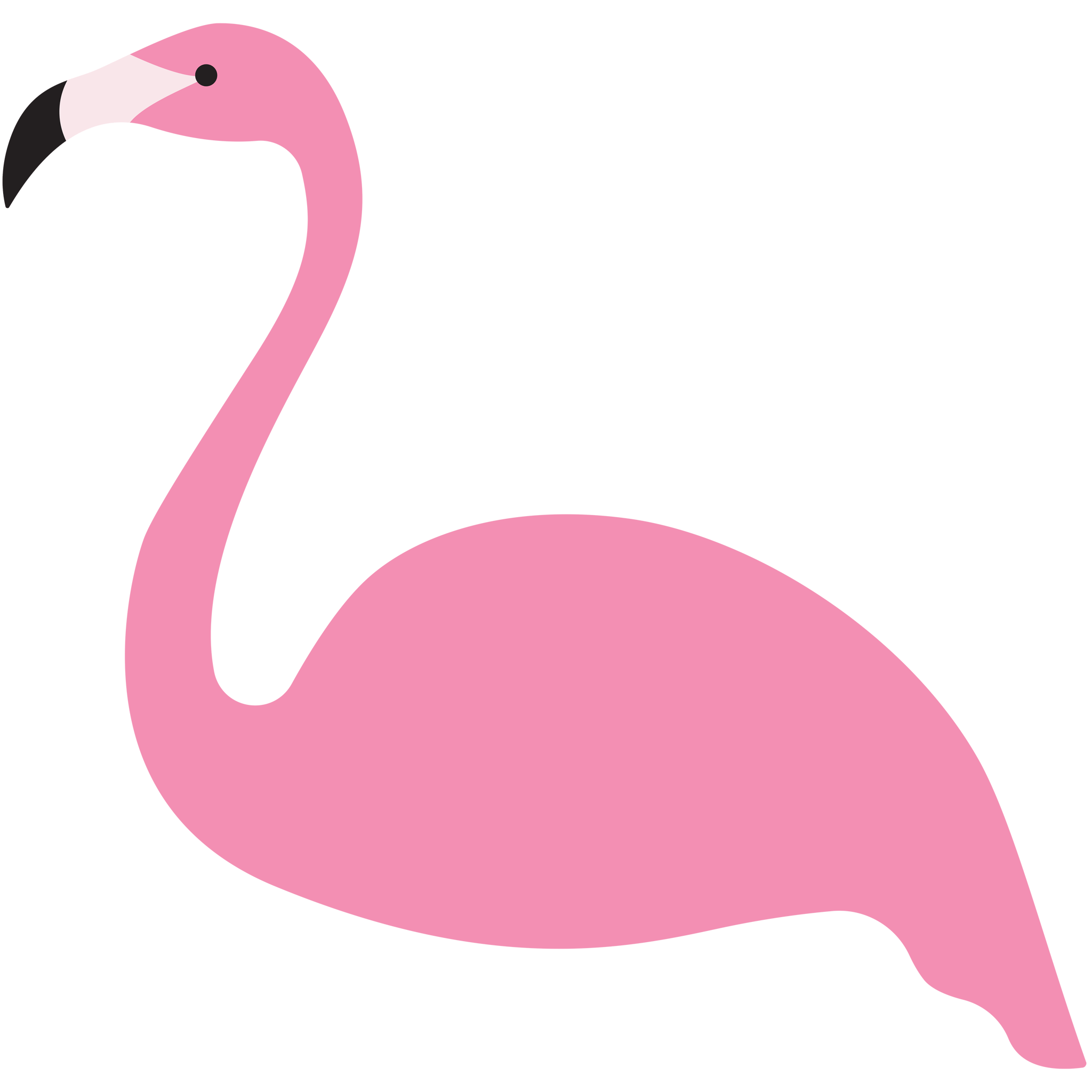 Flamingo